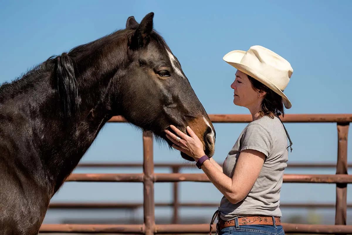person petting horse's head