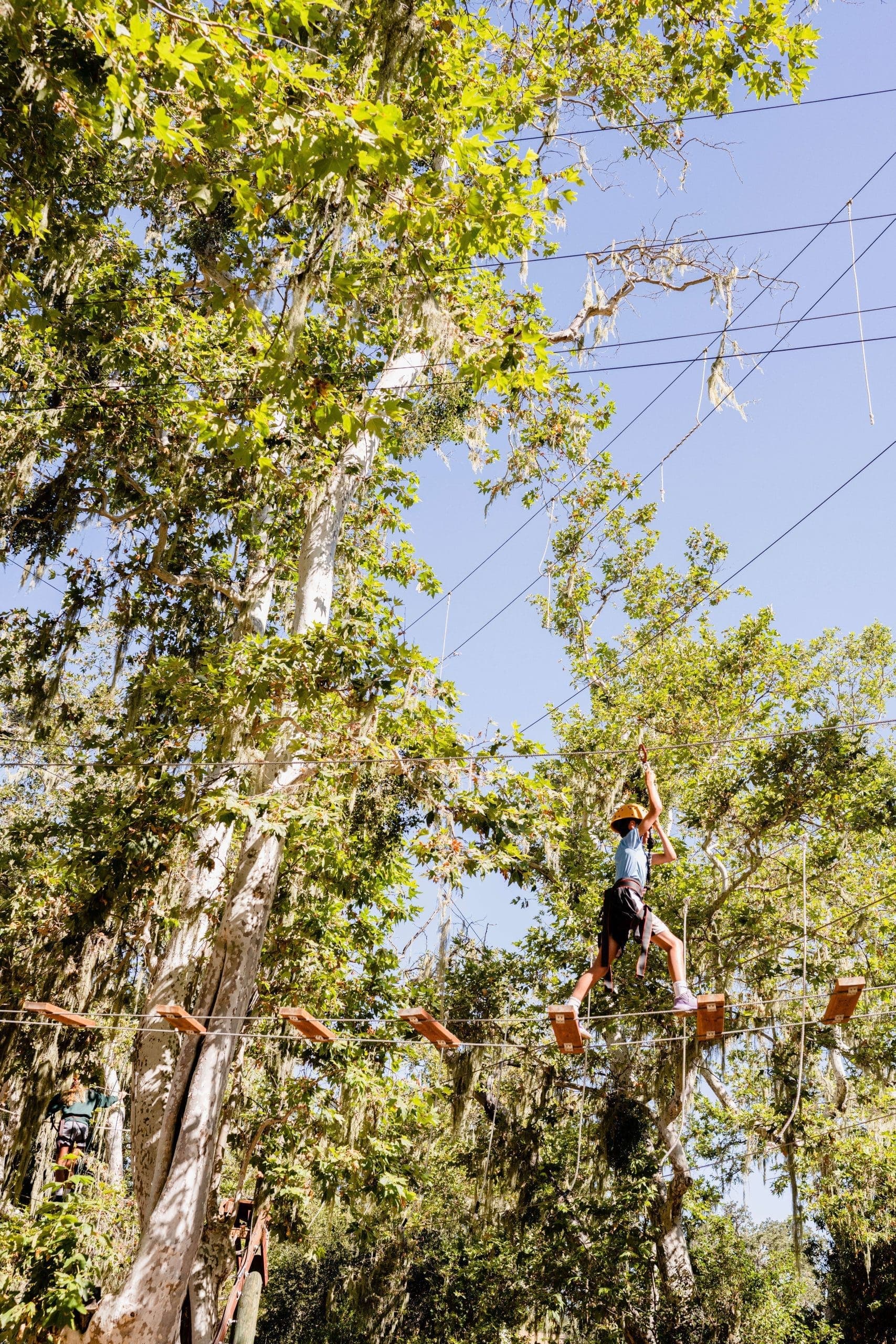 people wearing safety harnesses walking on ropes