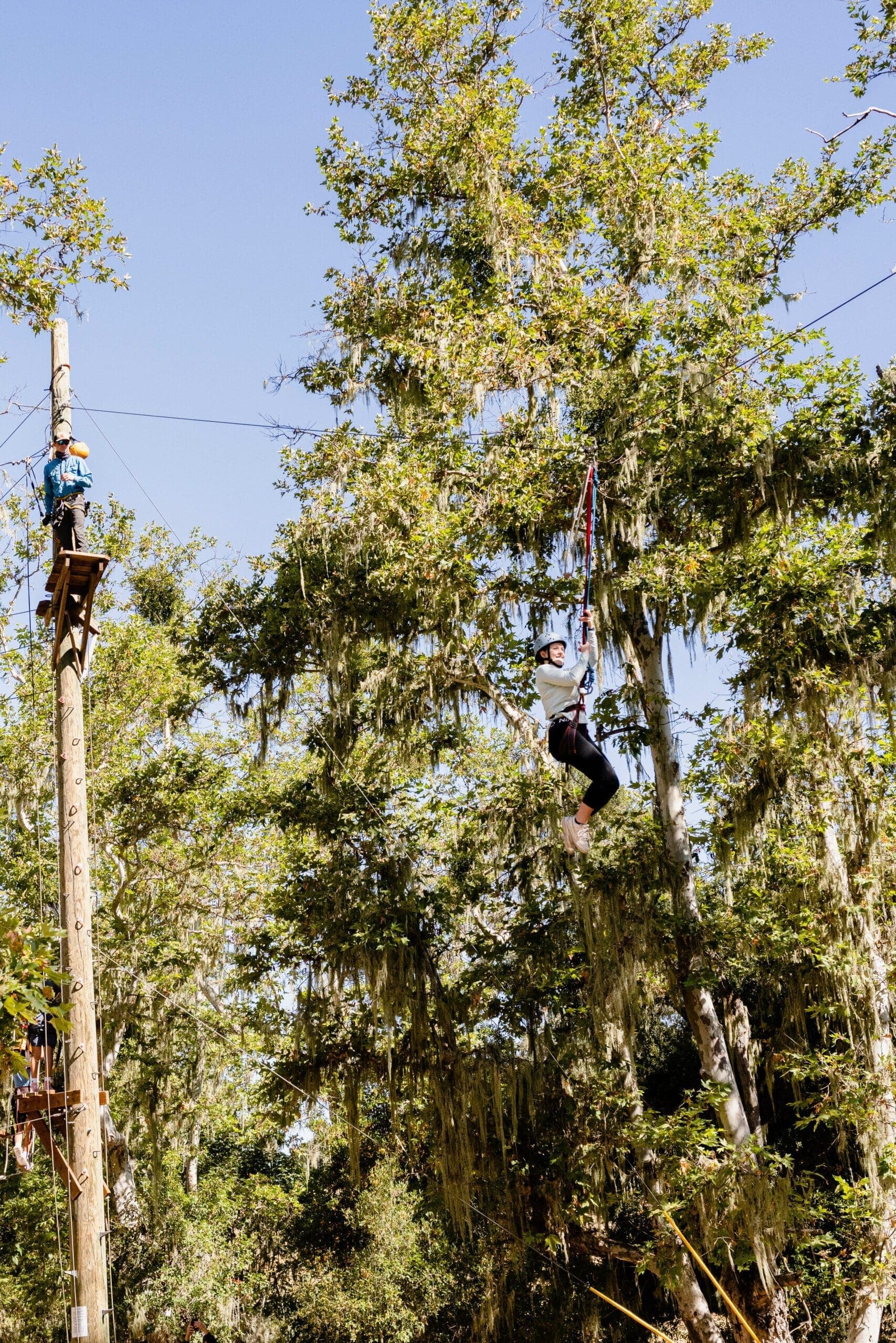 people wearing safety harnesses walking on ropes
