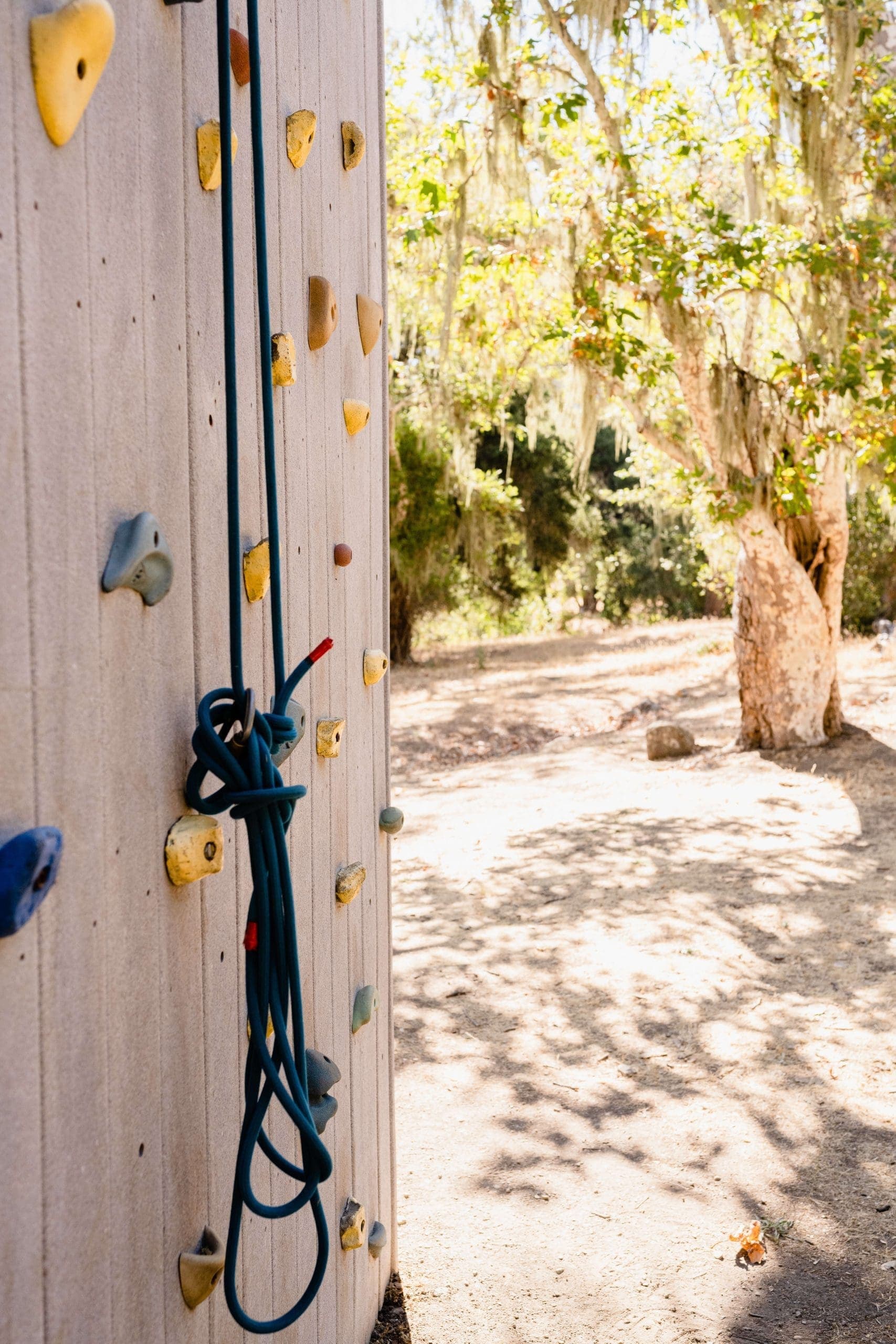 rock climbing wall with rope