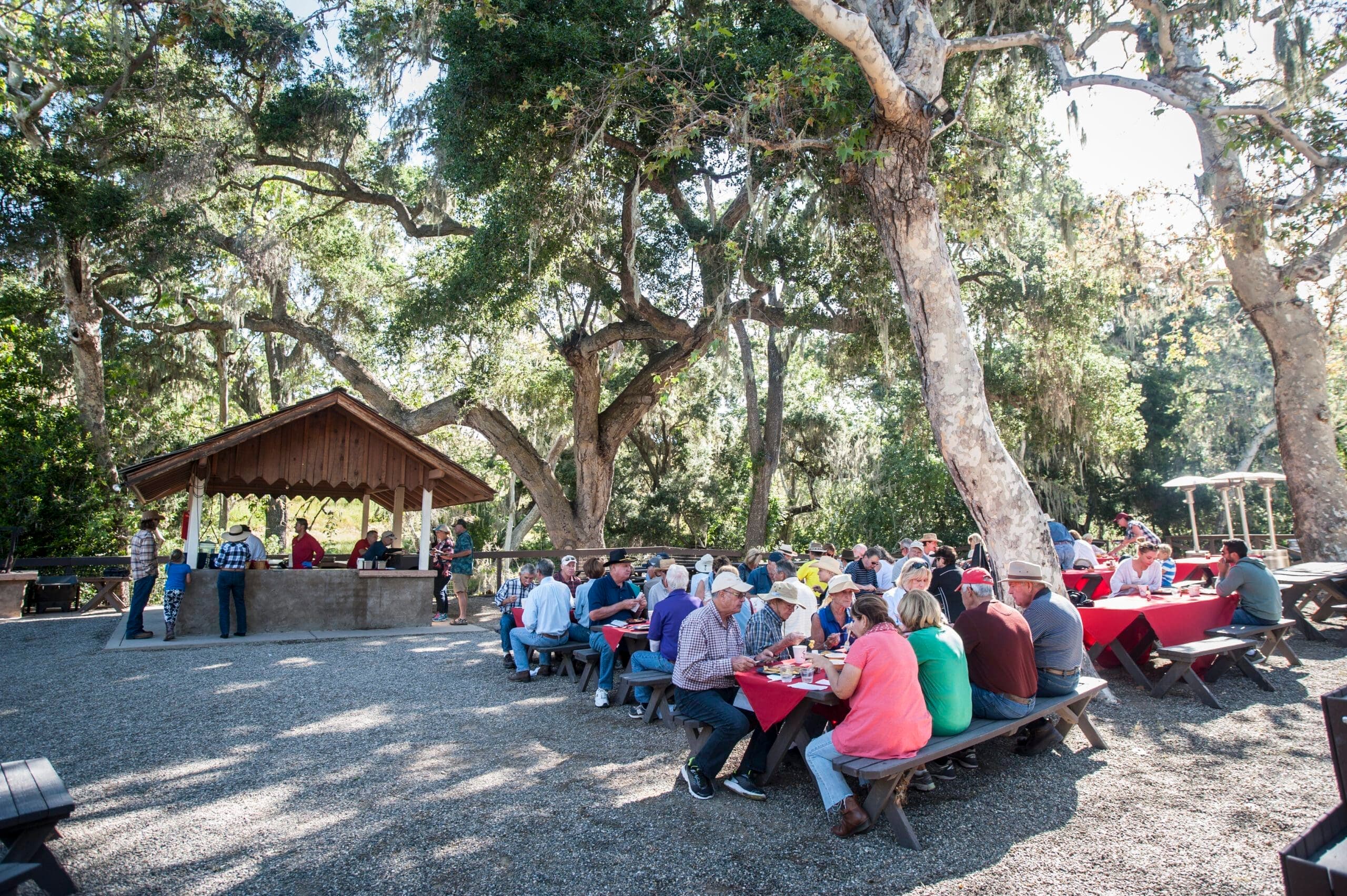group of people dining outside