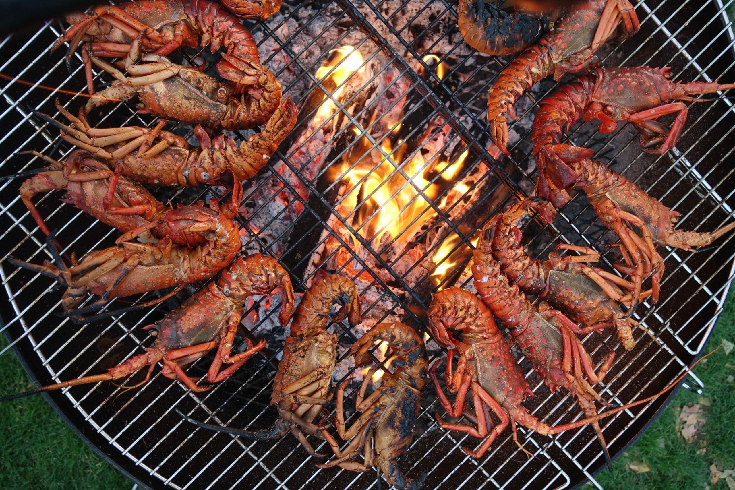 the ranch crawfish