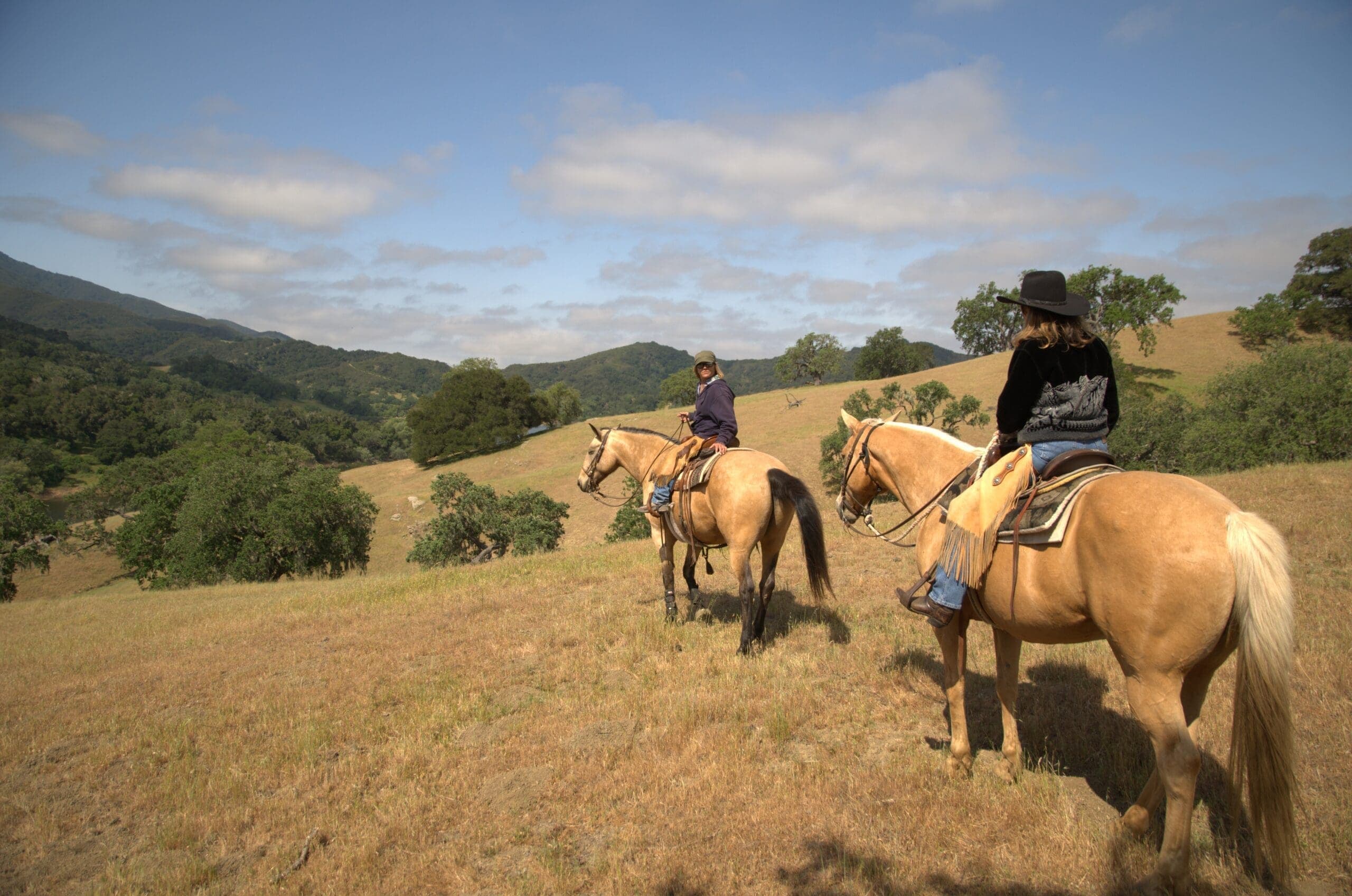 two people riding horses on the grassy hill