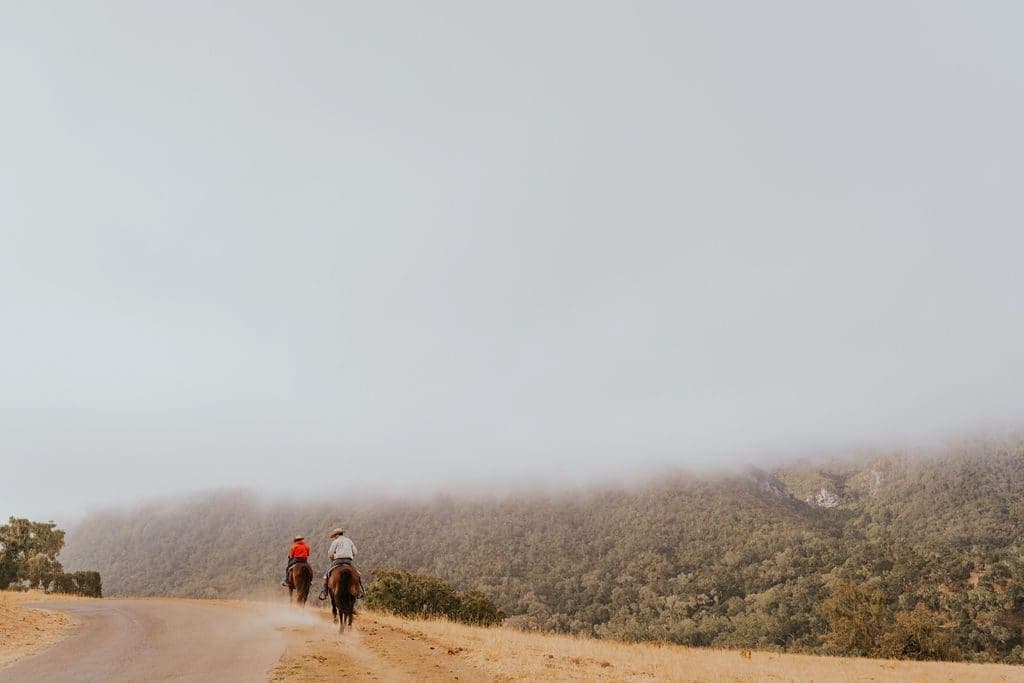 two people riding horses on the side of the road