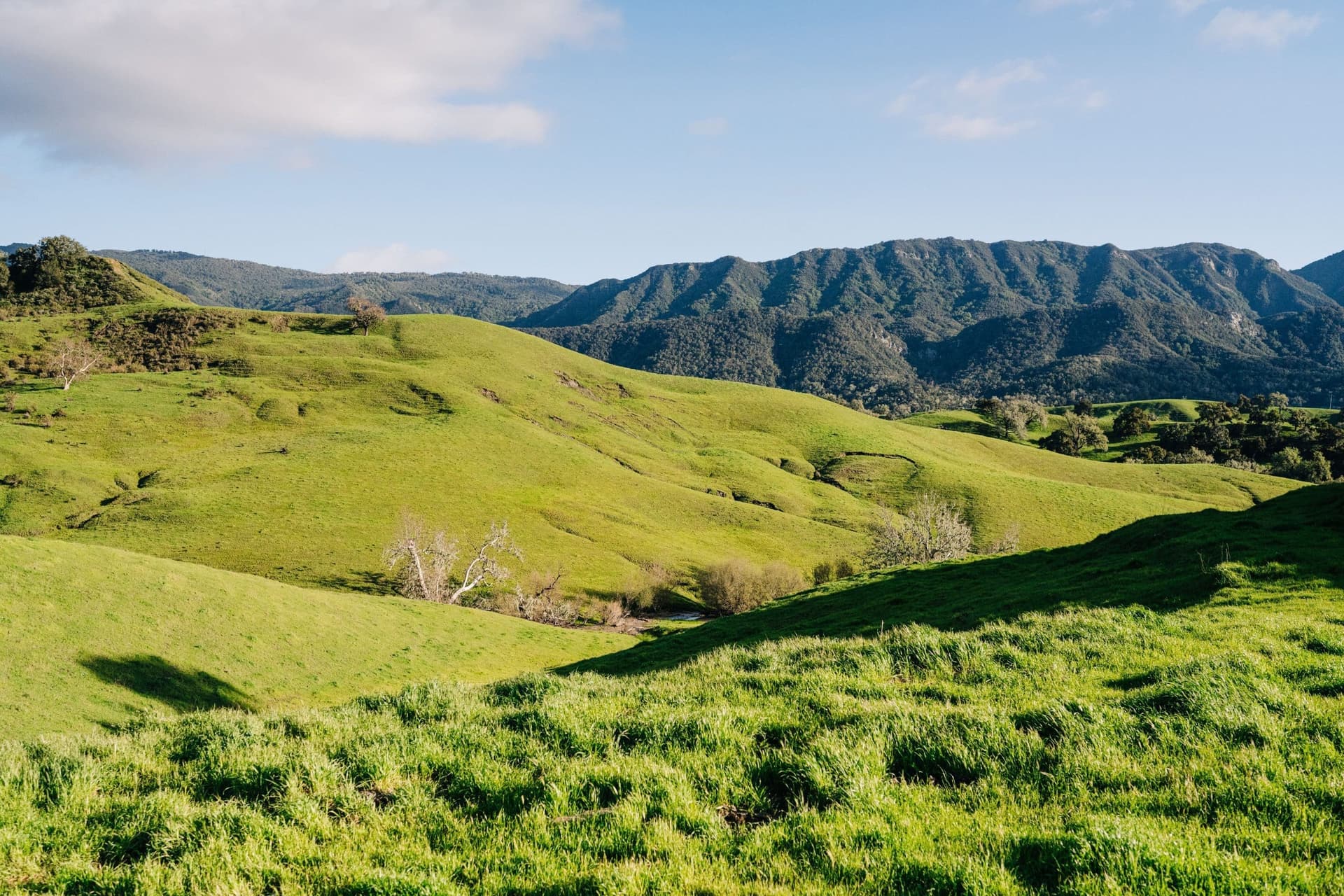 Barnyard Crafts and Creative Farm Activities | Alisal Ranch, CA