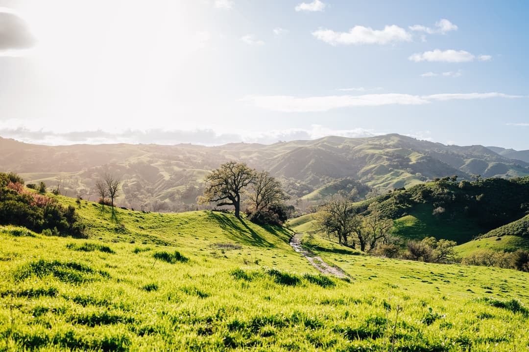 Hiking Trails and Nature Walks | Alisal Ranch, Santa Ynez Valley