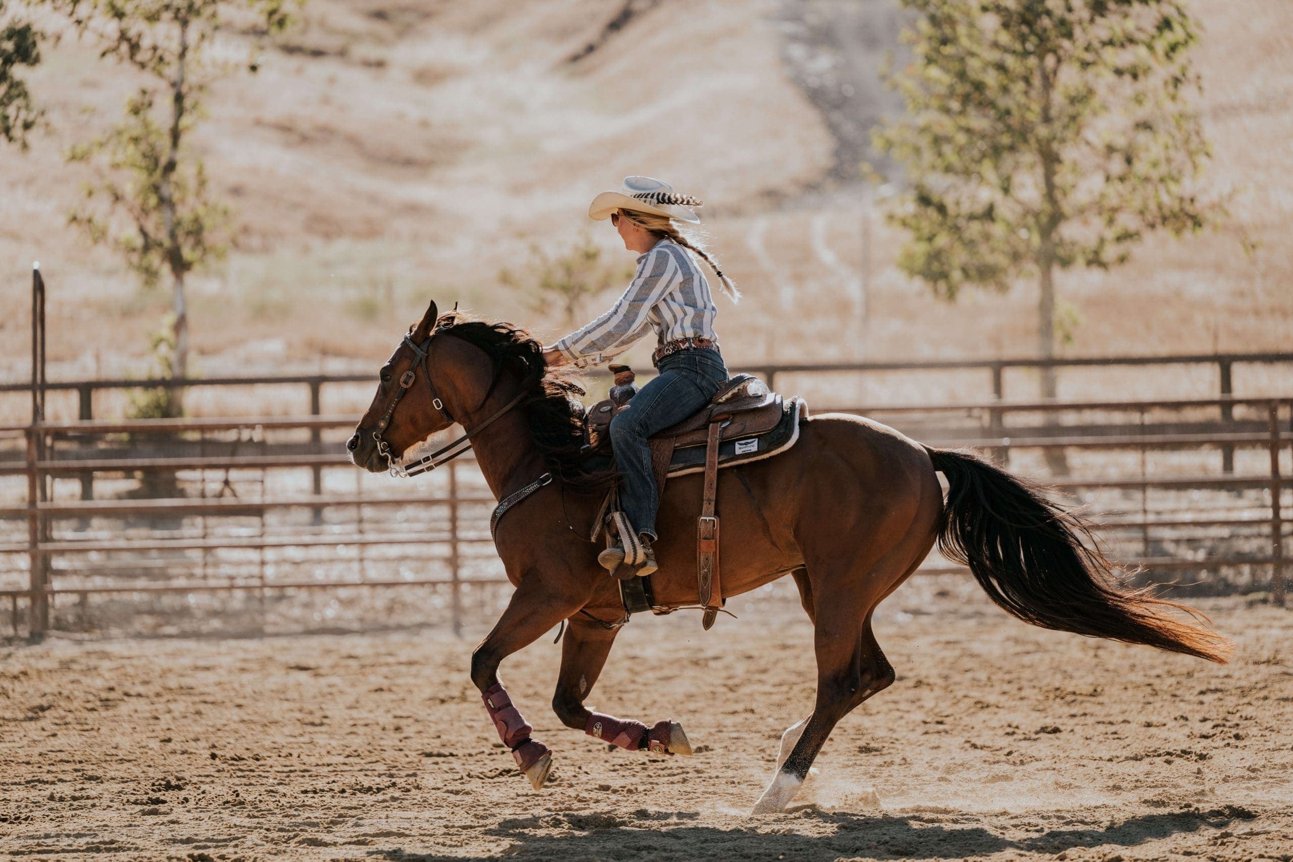 person riding a horse