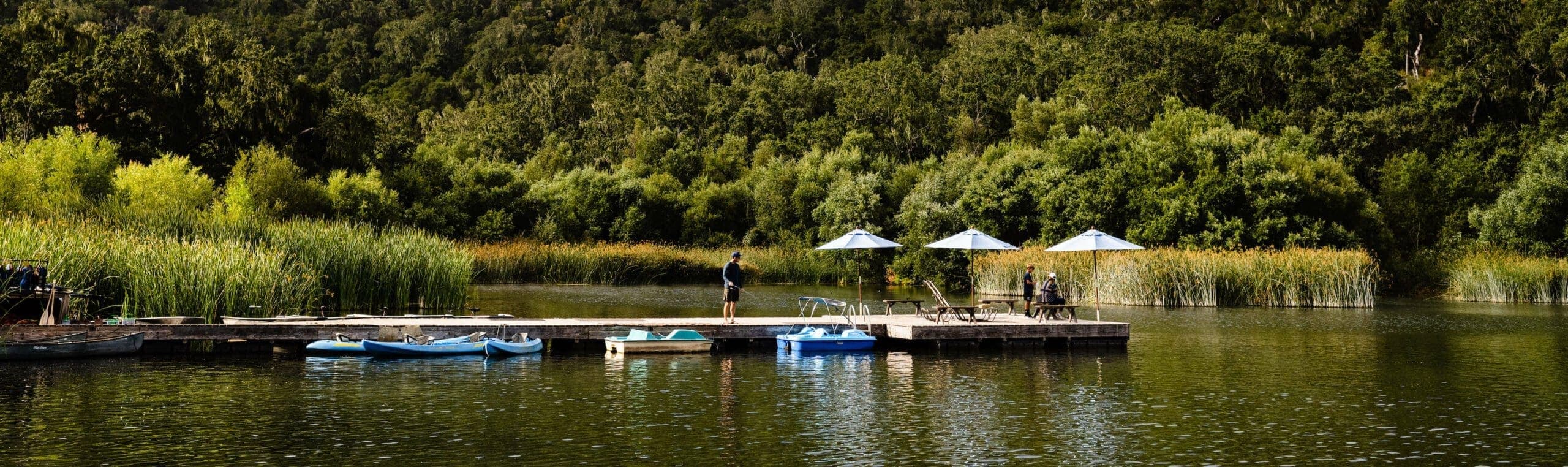 docks on Alisal lake