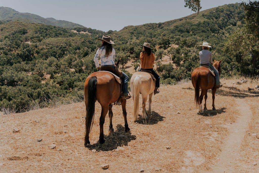 people riding horses on a hill