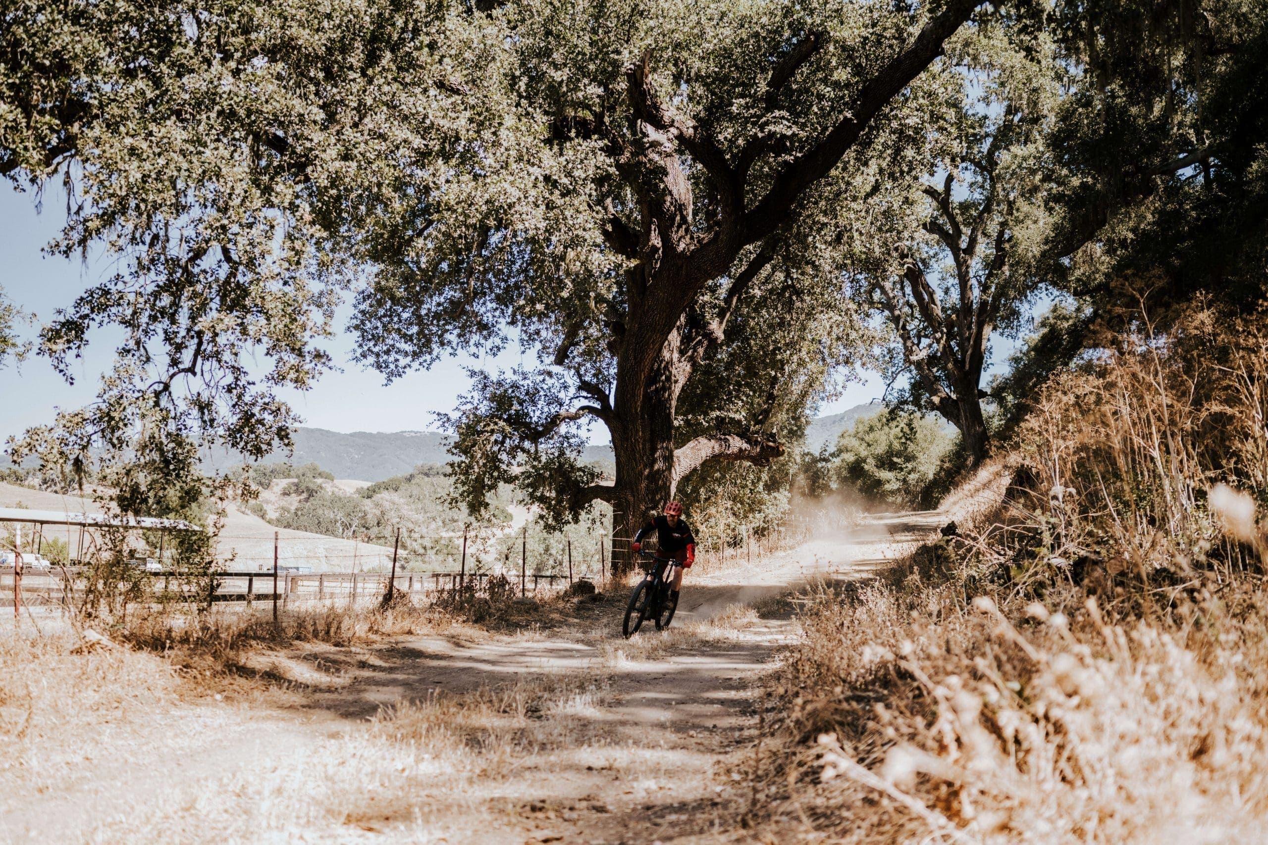 person riding a bicycle