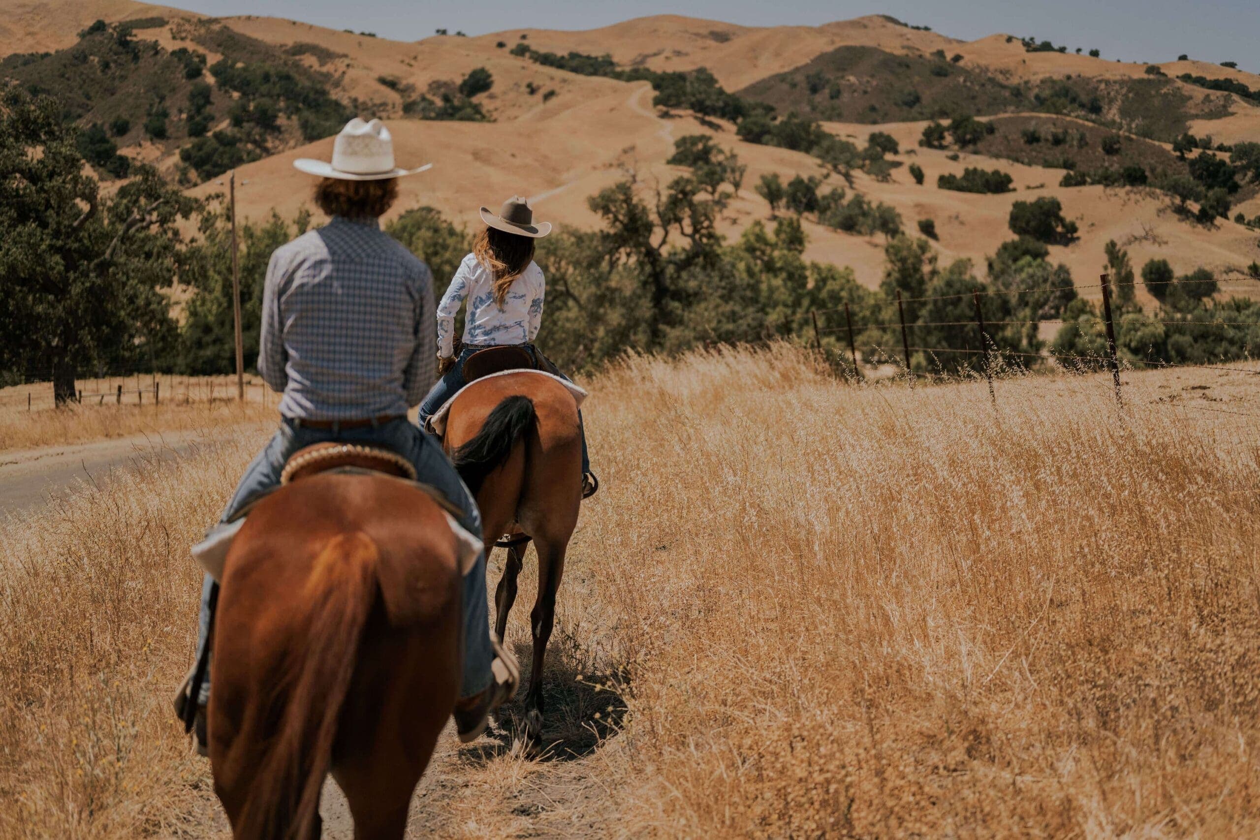 people riding horse outside on field