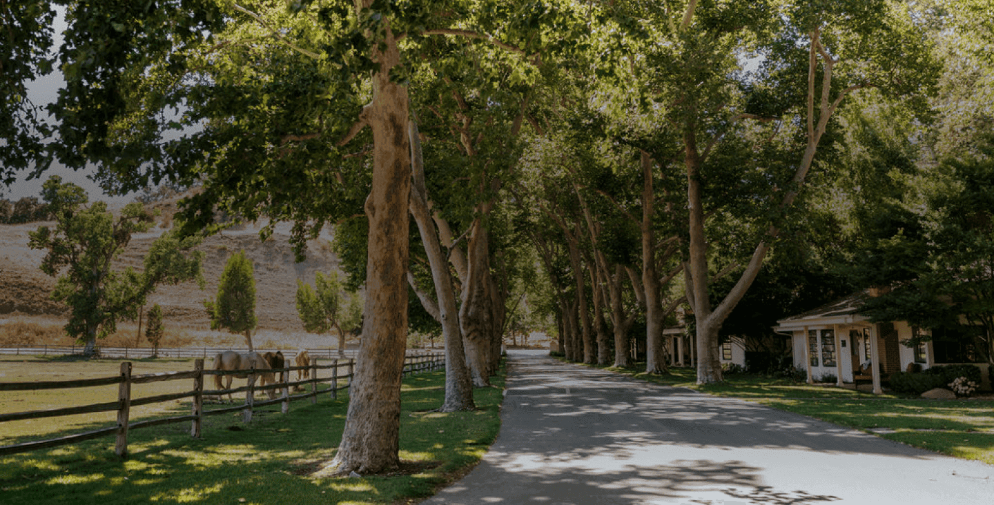 exterior of ranch and horse paddock separated by road with trees lined