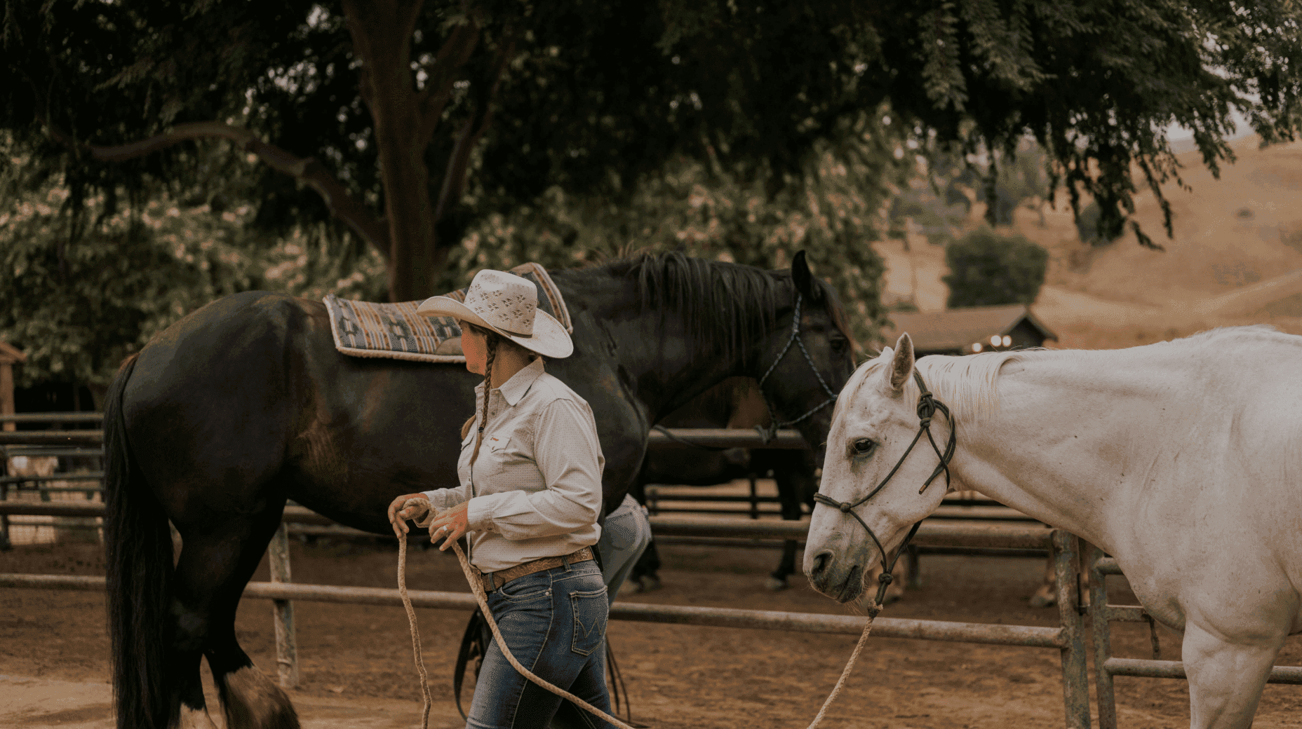 person walking while holding the reigns of a horse