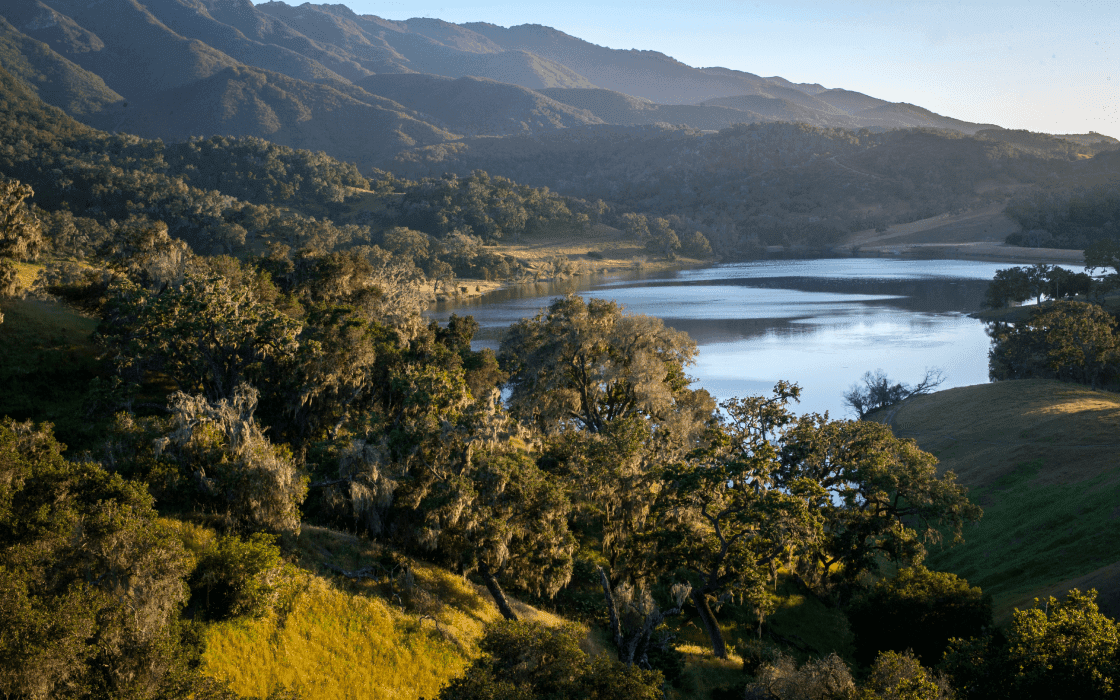 hill view of Alisal lake