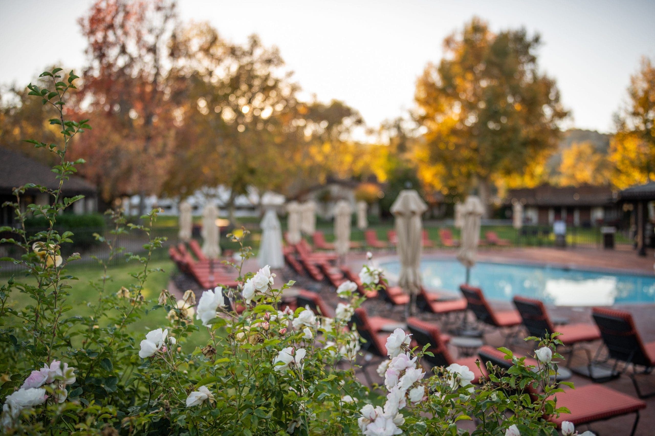 view of outdoor pool and lounge chairs