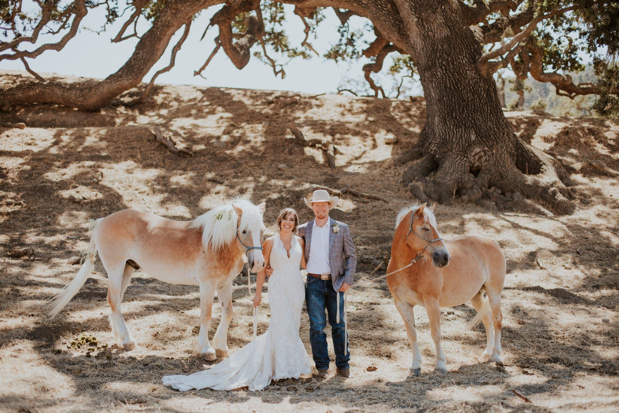 wedding couple holding reigns of horses