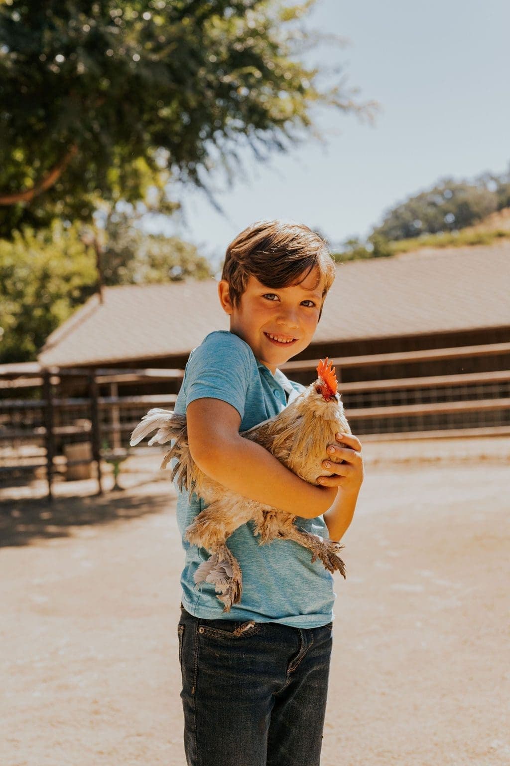 child carrying a chicken