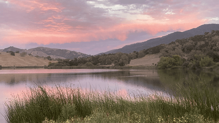 Stargazing Guide Alisal Ranch Blog