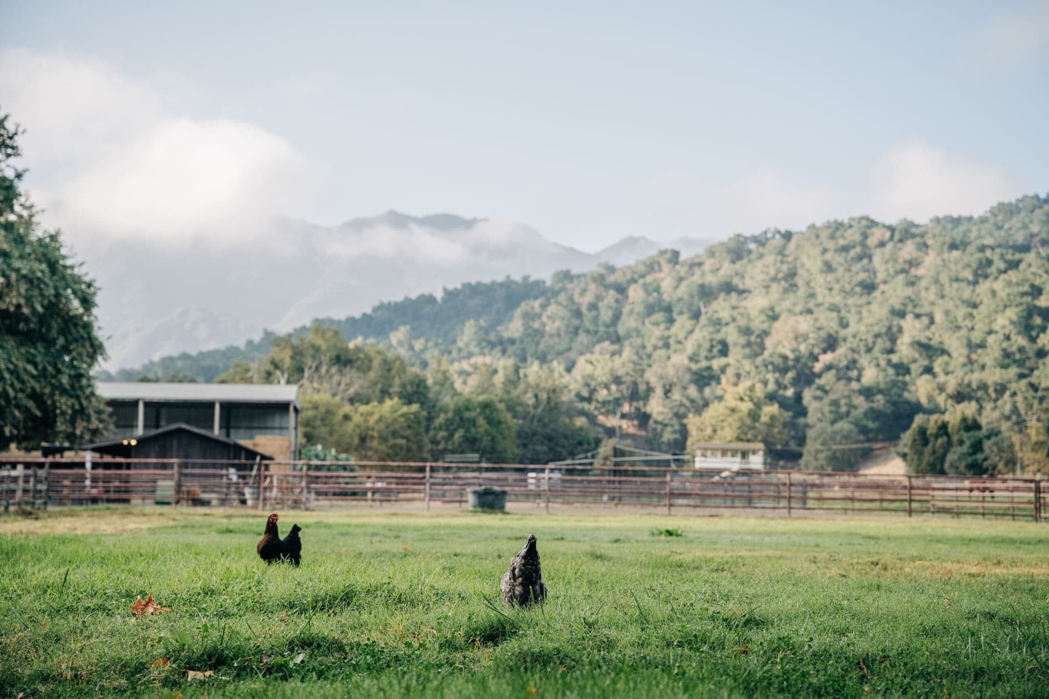 Stay 2 Nights, Get the 3rd Free | Alisal Ranch, California Escape