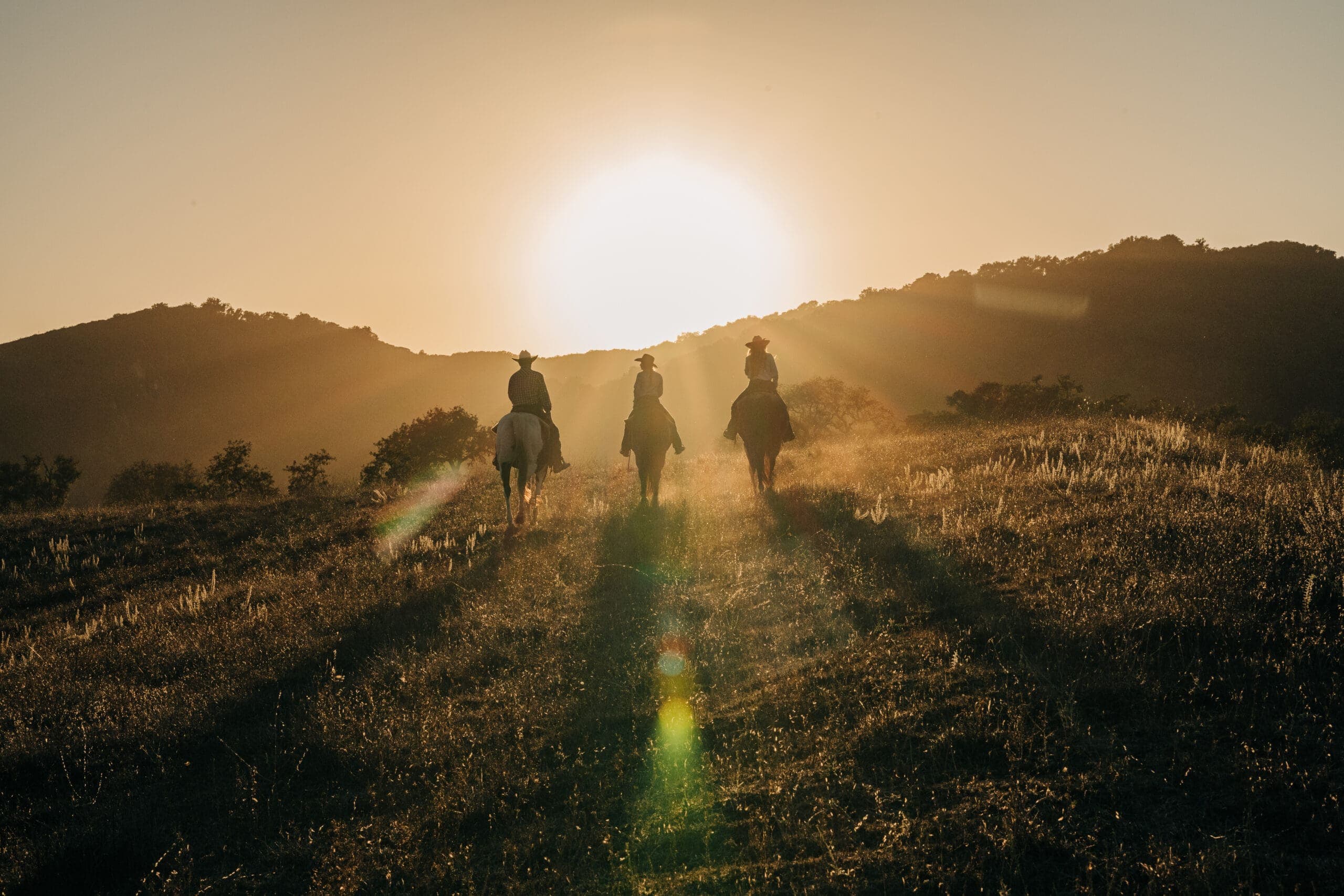 Cowboy and cowgirls riding horses into sunset at Alisal Ranch