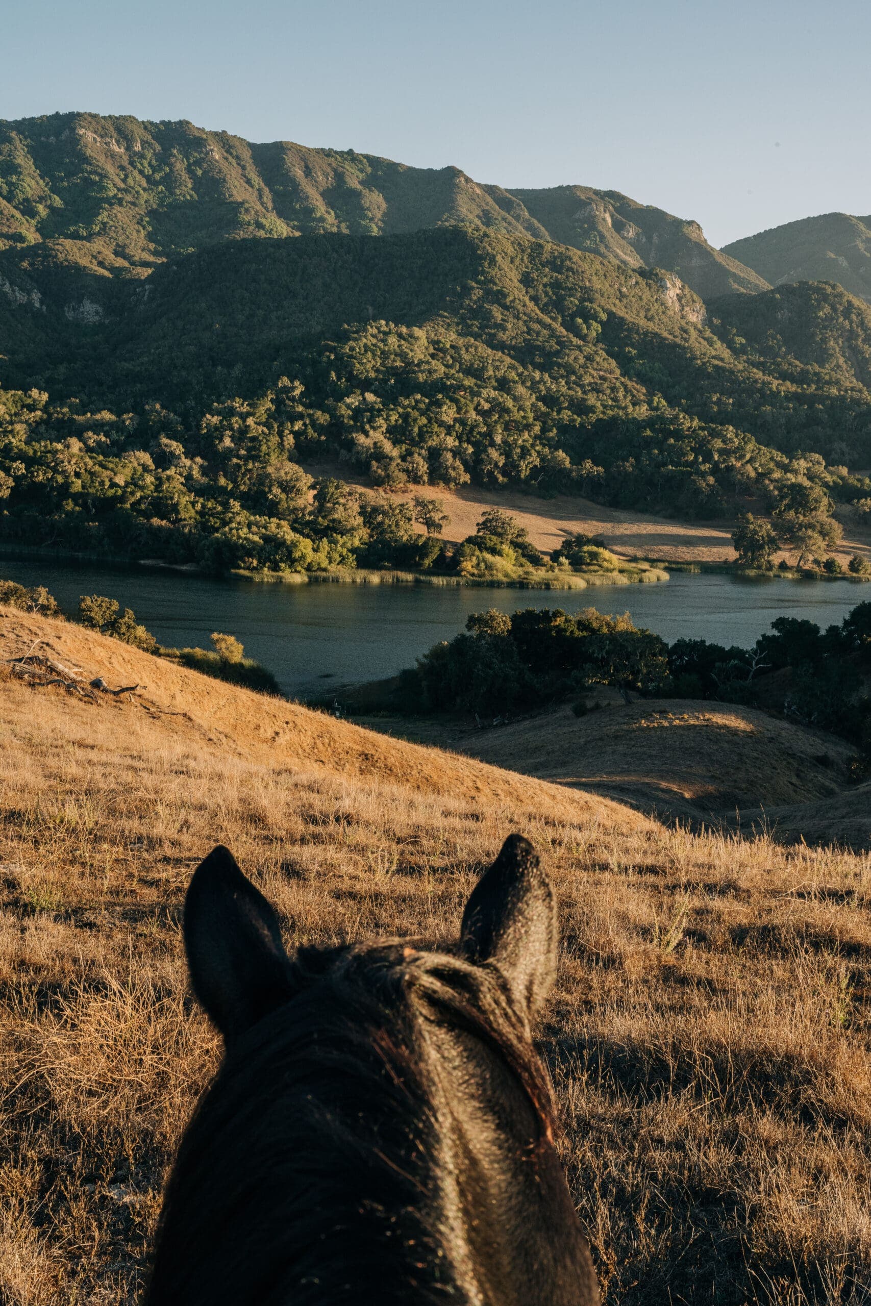 Luxury Dude Ranch Vacation Packages and Rates | Alisal Ranch