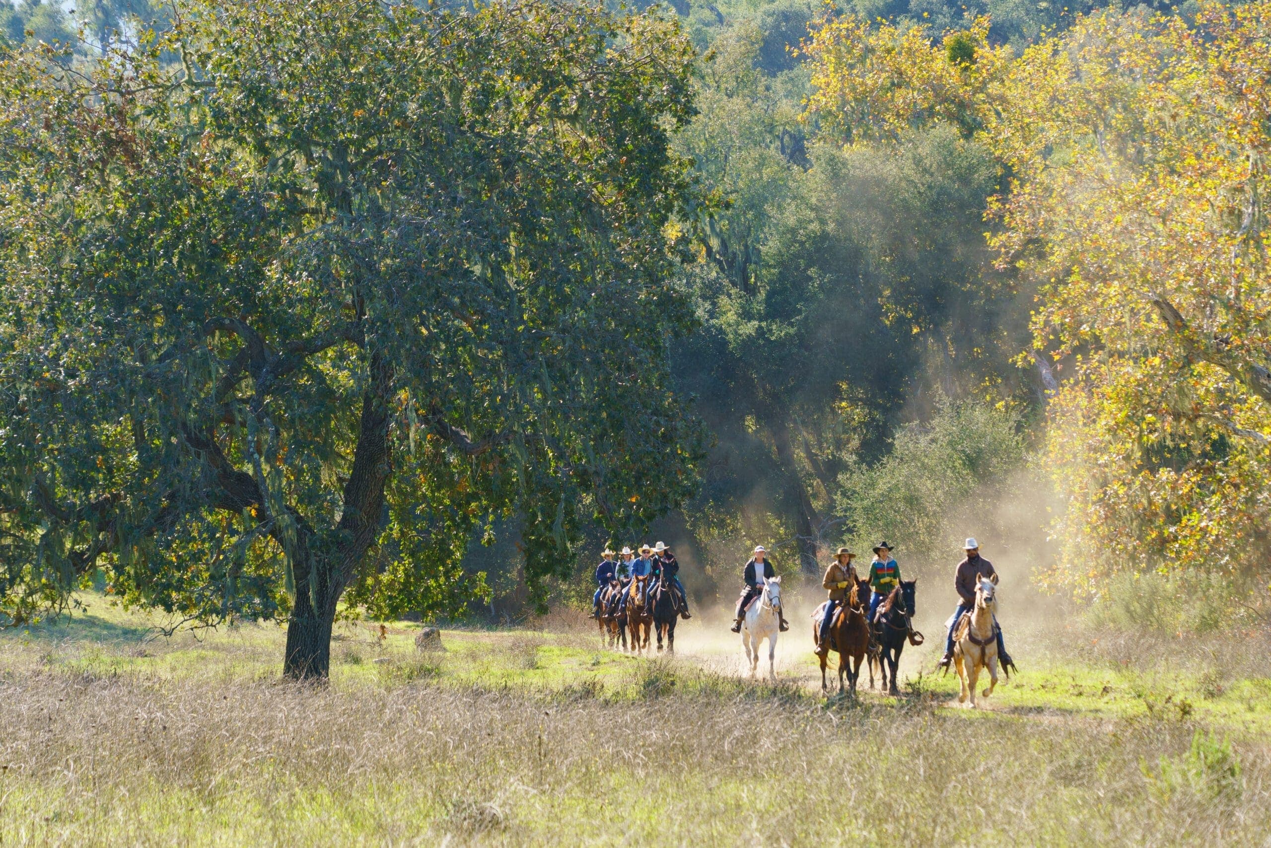 aerial view of landscape and group of people riding horses
