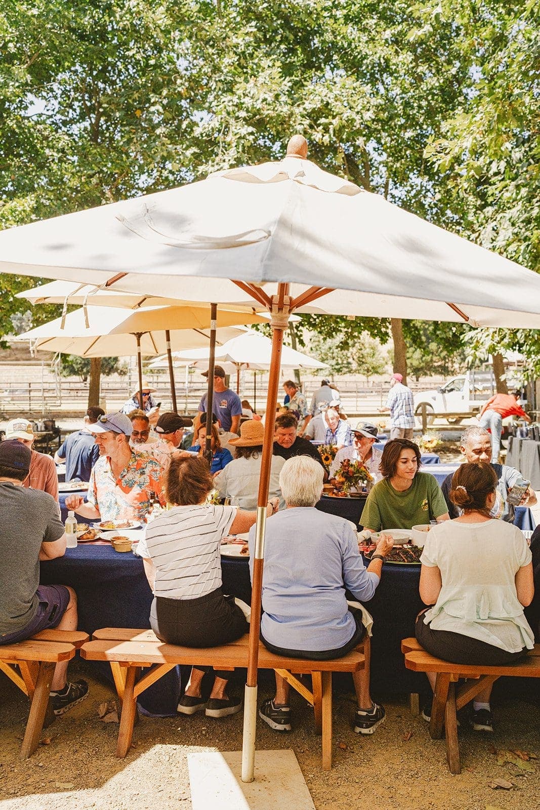 group of people eating outdoors sitting on picnic benches under umbrellas