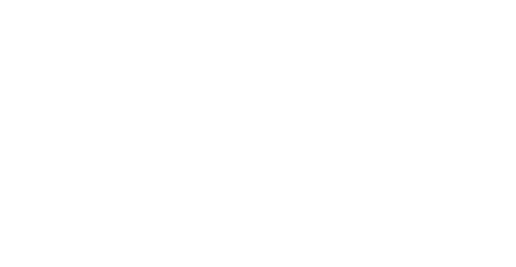 lifestyle prefered logo