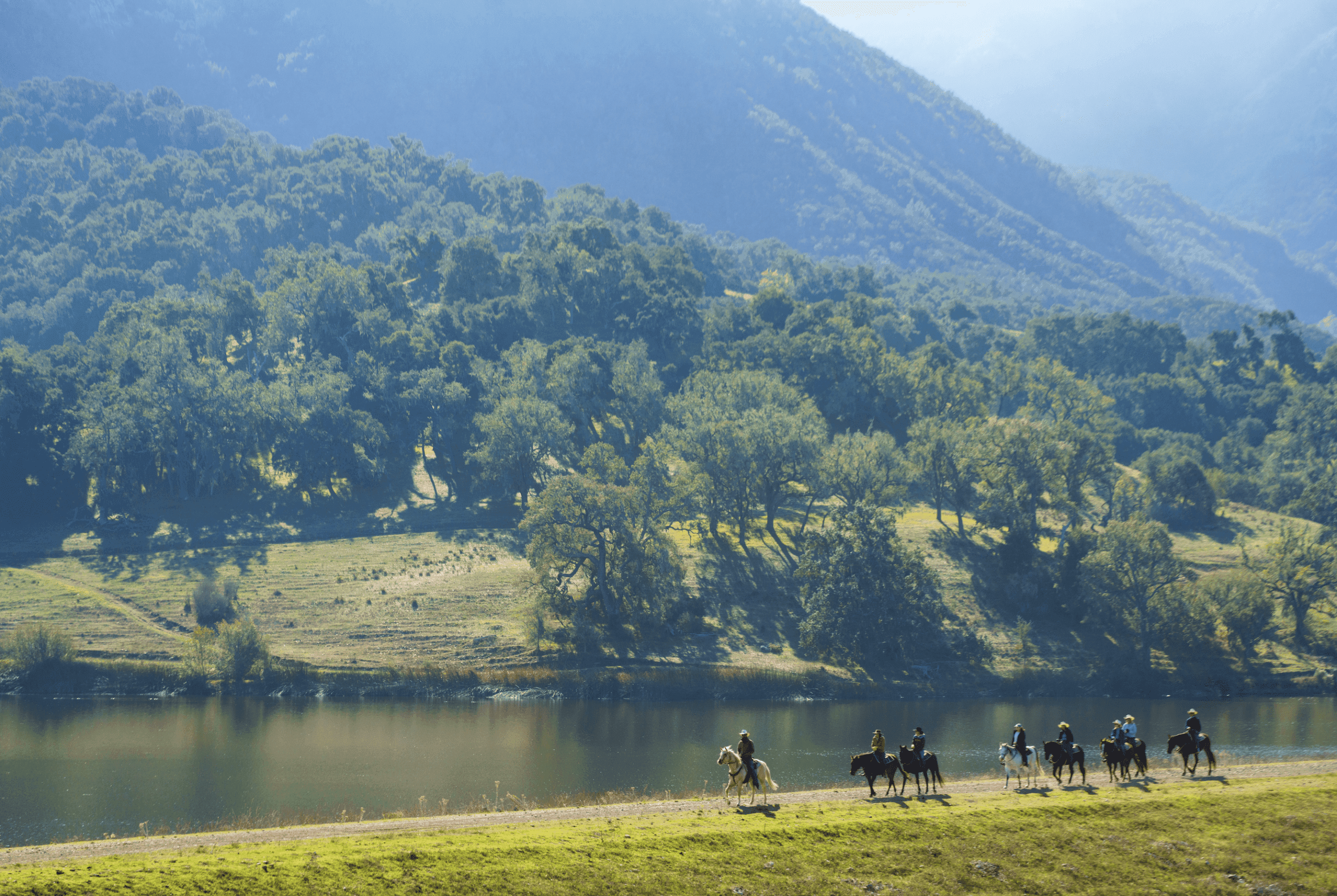 aerial view of landscape and group of people riding horses