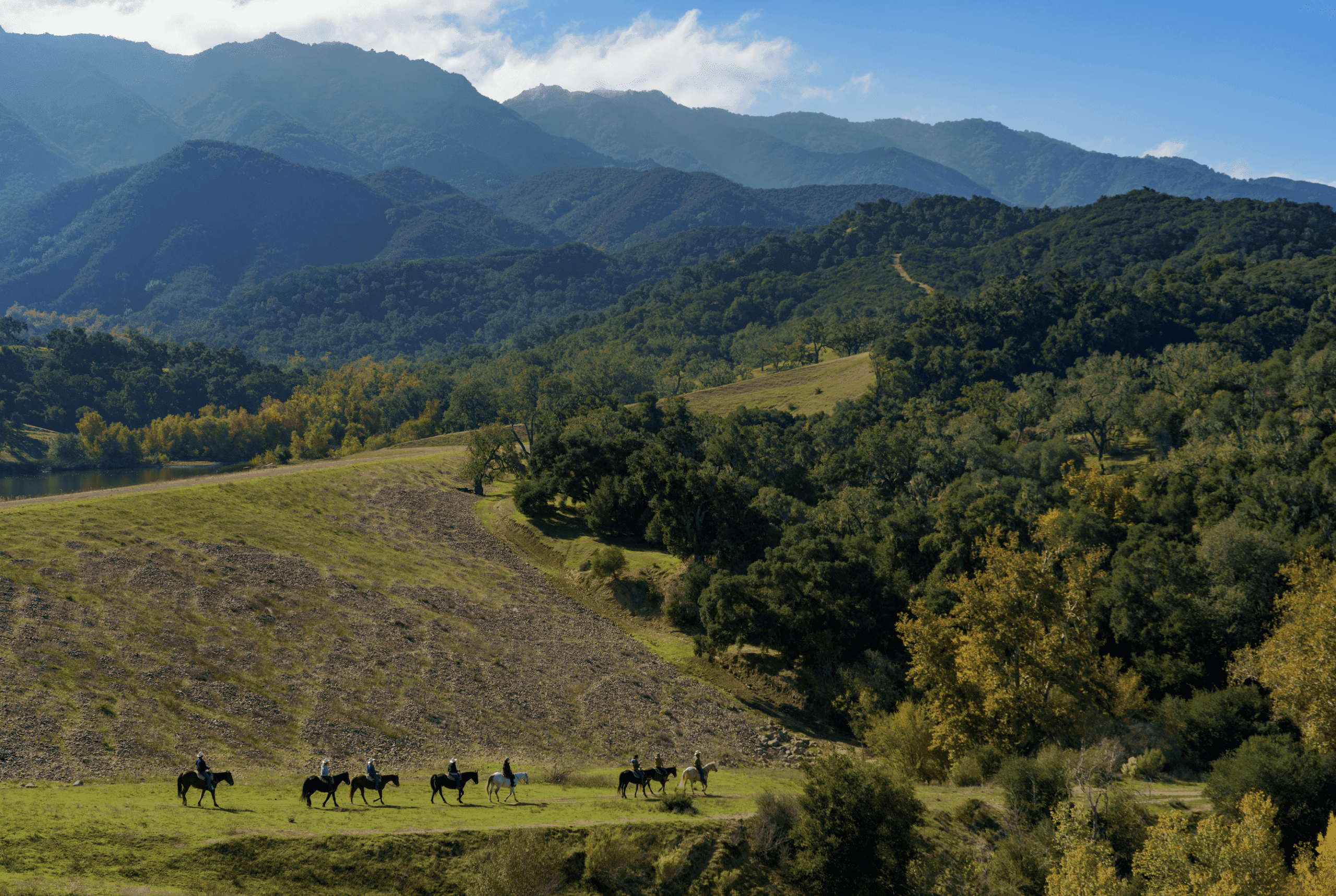 aerial view of landscape and group of people riding horses