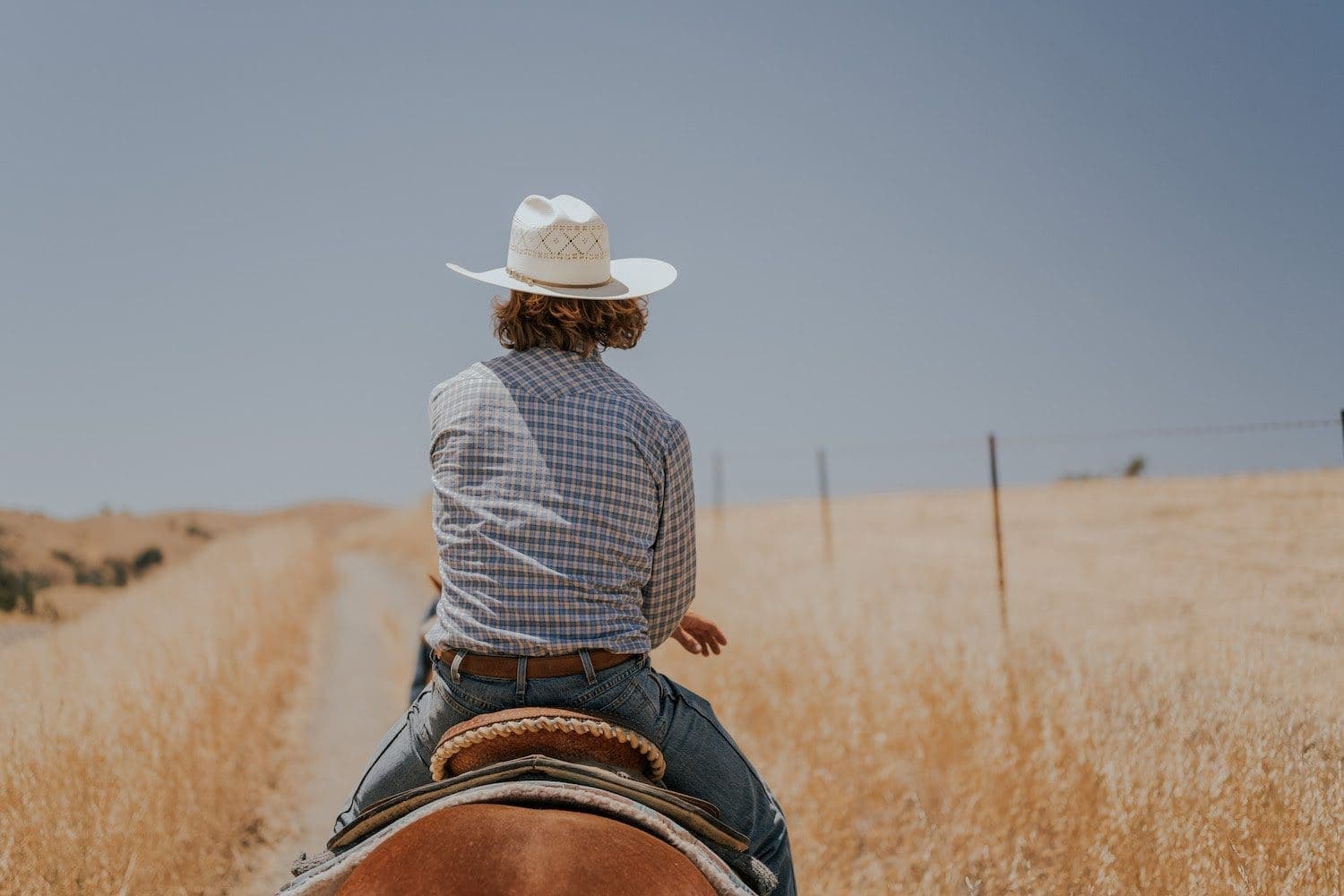 back view of person riding horse wearing cowboy hat