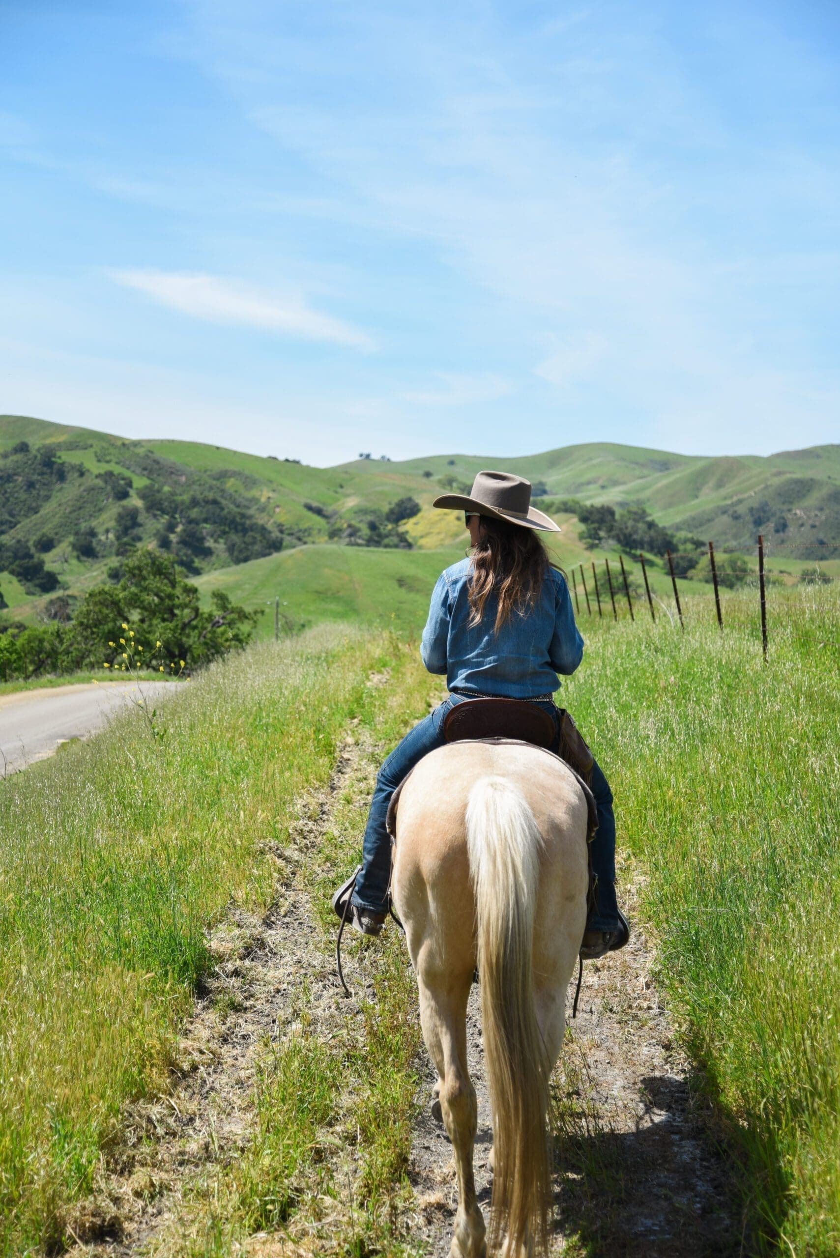 person riding horse on grass path