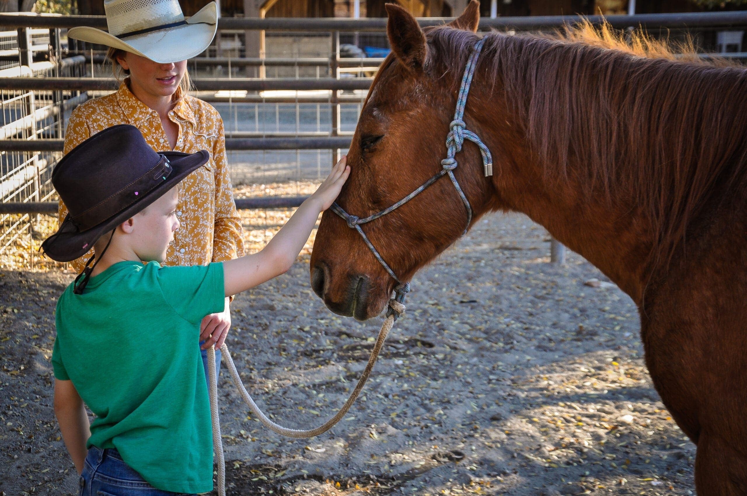 trainer watching as child pets horse