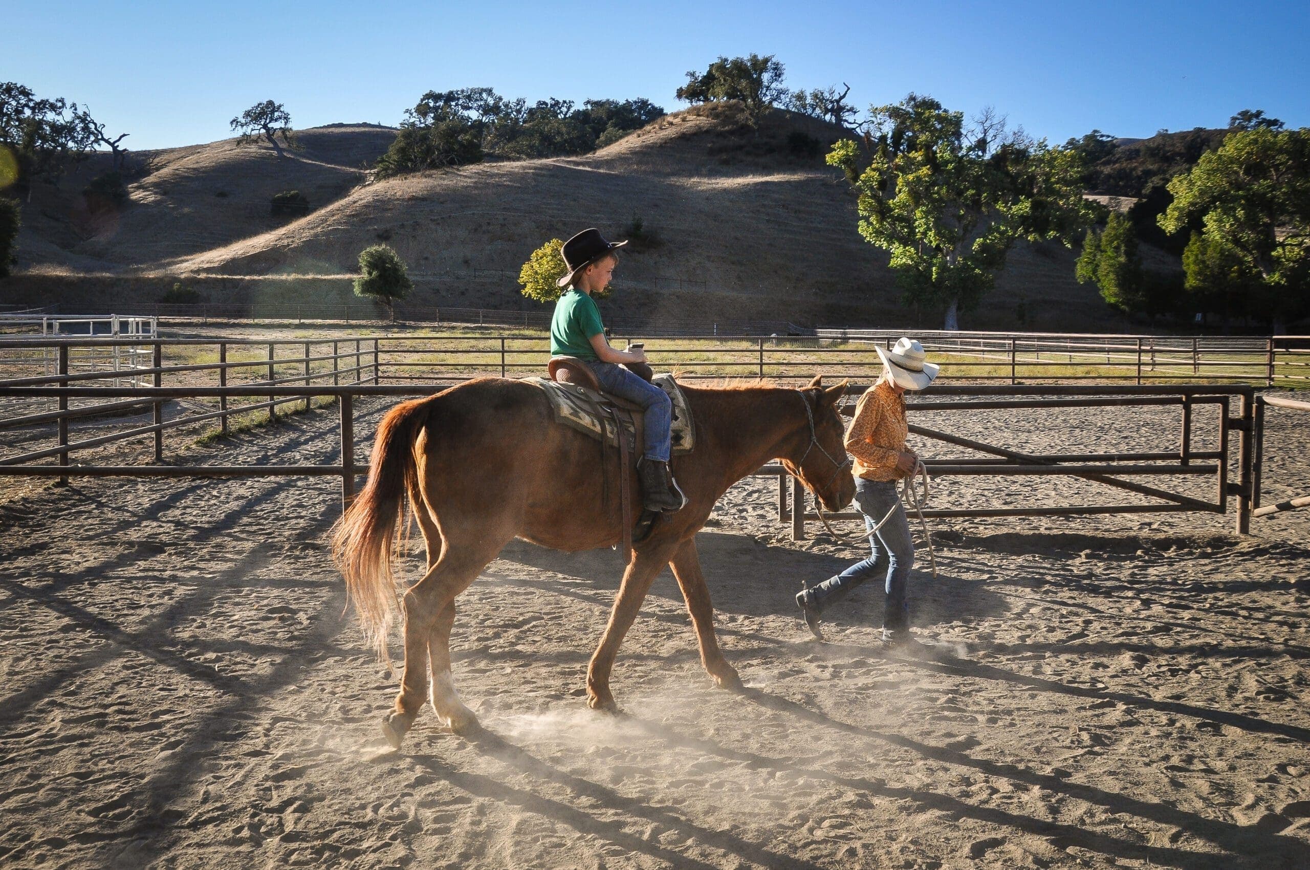 trainer holding reigns of horse with child seated on saddle