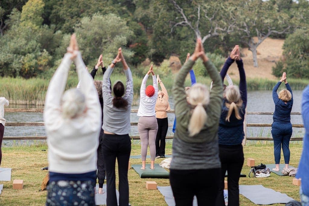 group of people doing yoga outside