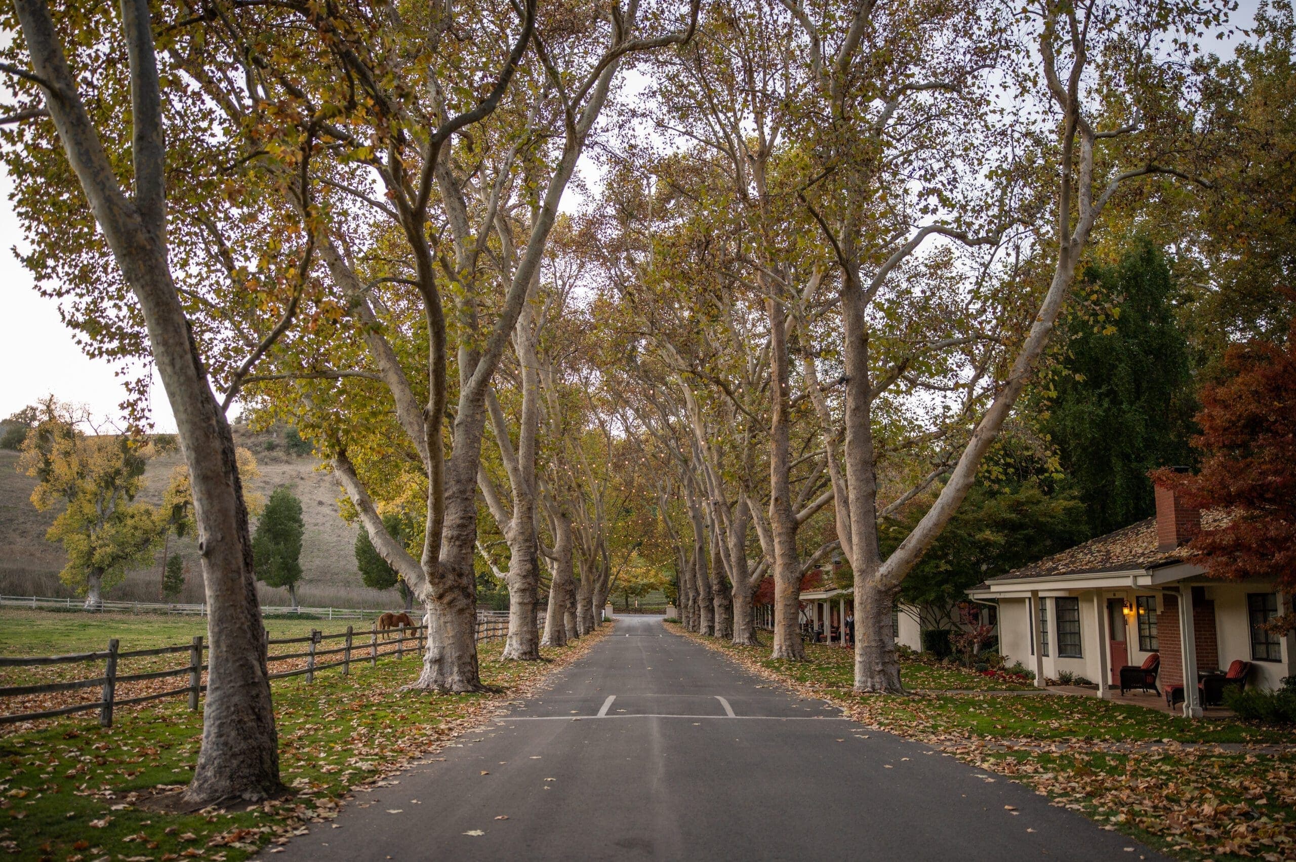 view of outdoor pathway beside fence