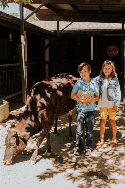 two kids standing beside a cow