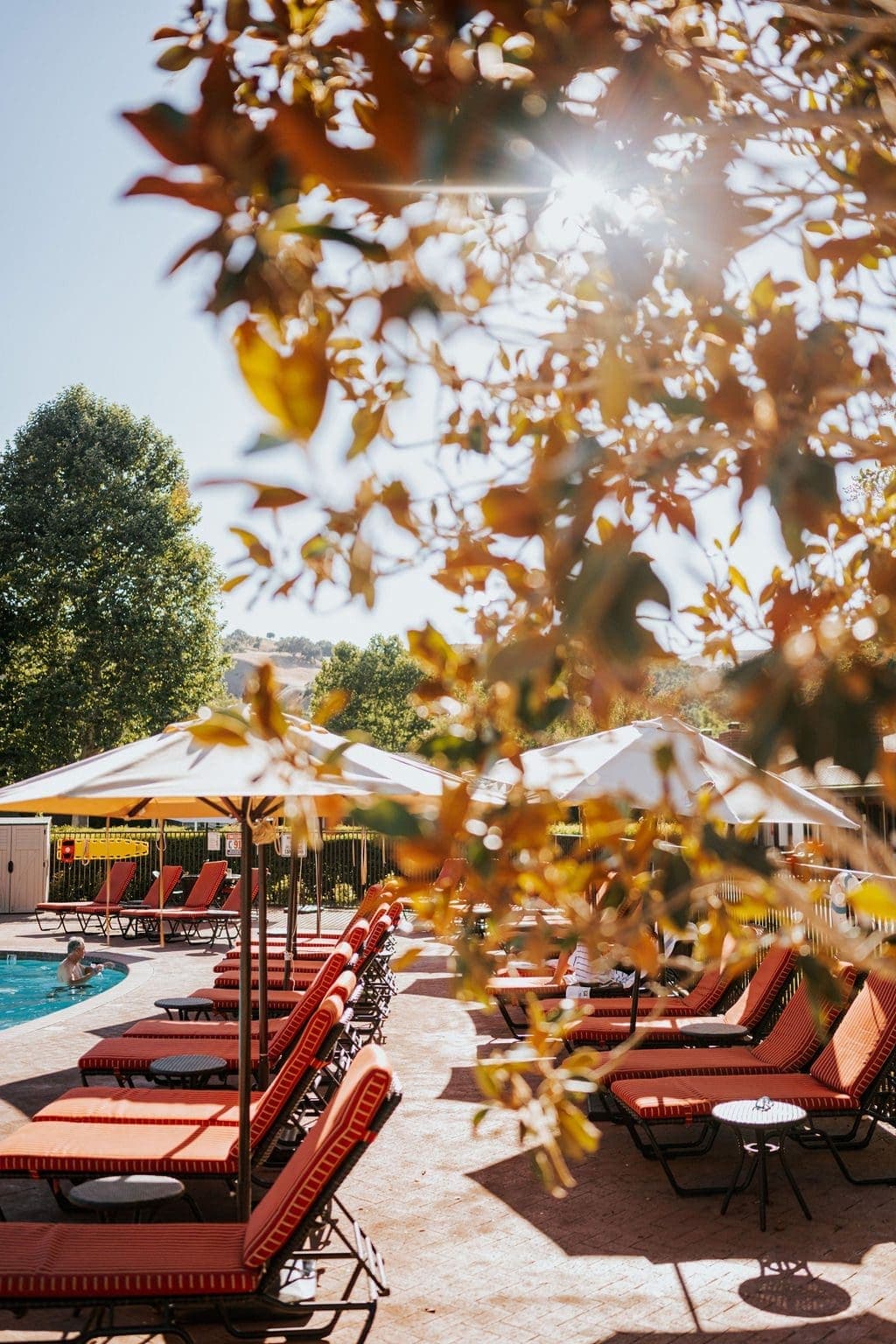 lounge chairs with umbrellas by pool