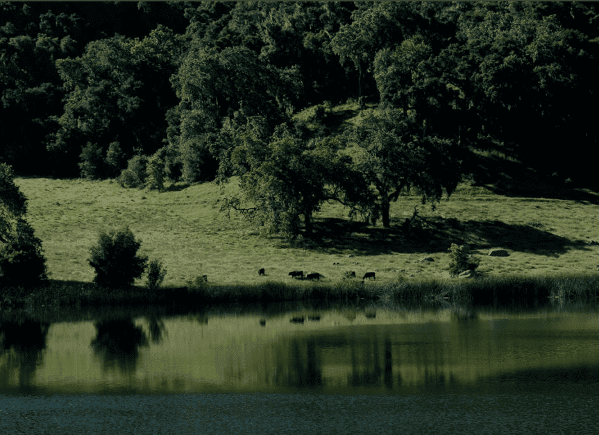 river landscape