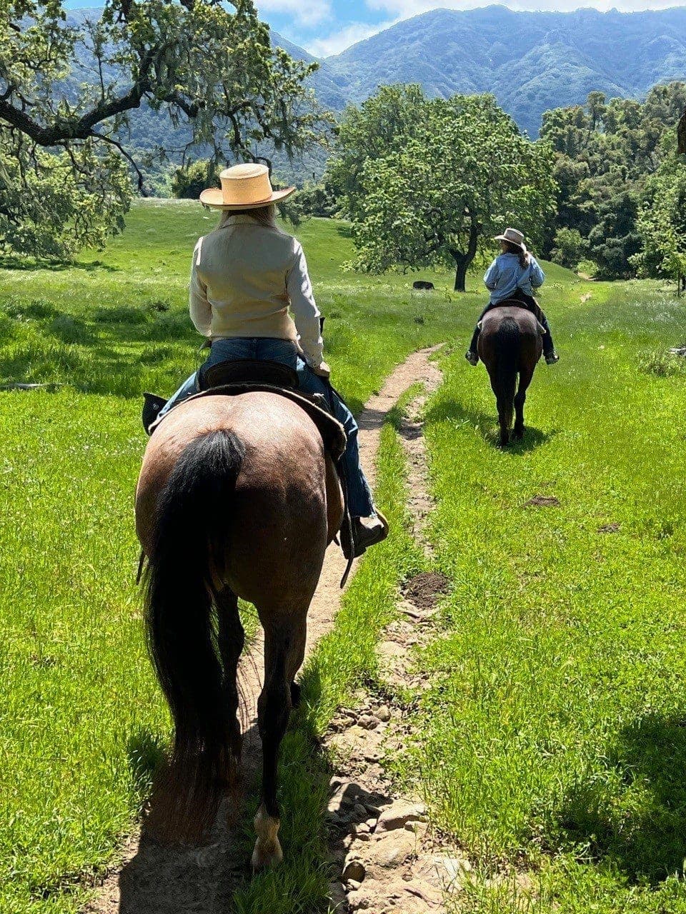 two people riding horses on a path