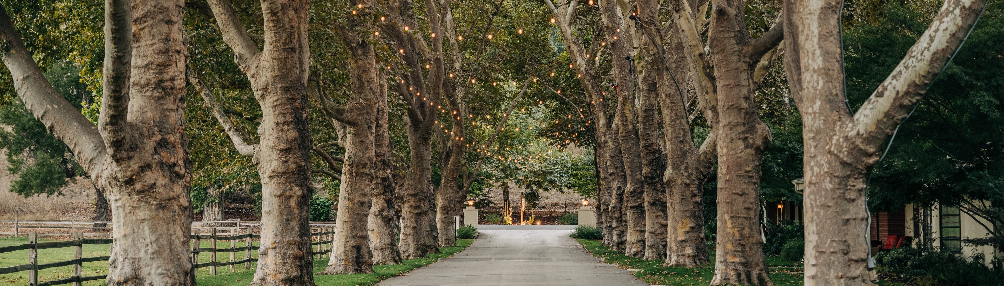 Alisal entrance driveway at dawn with lights