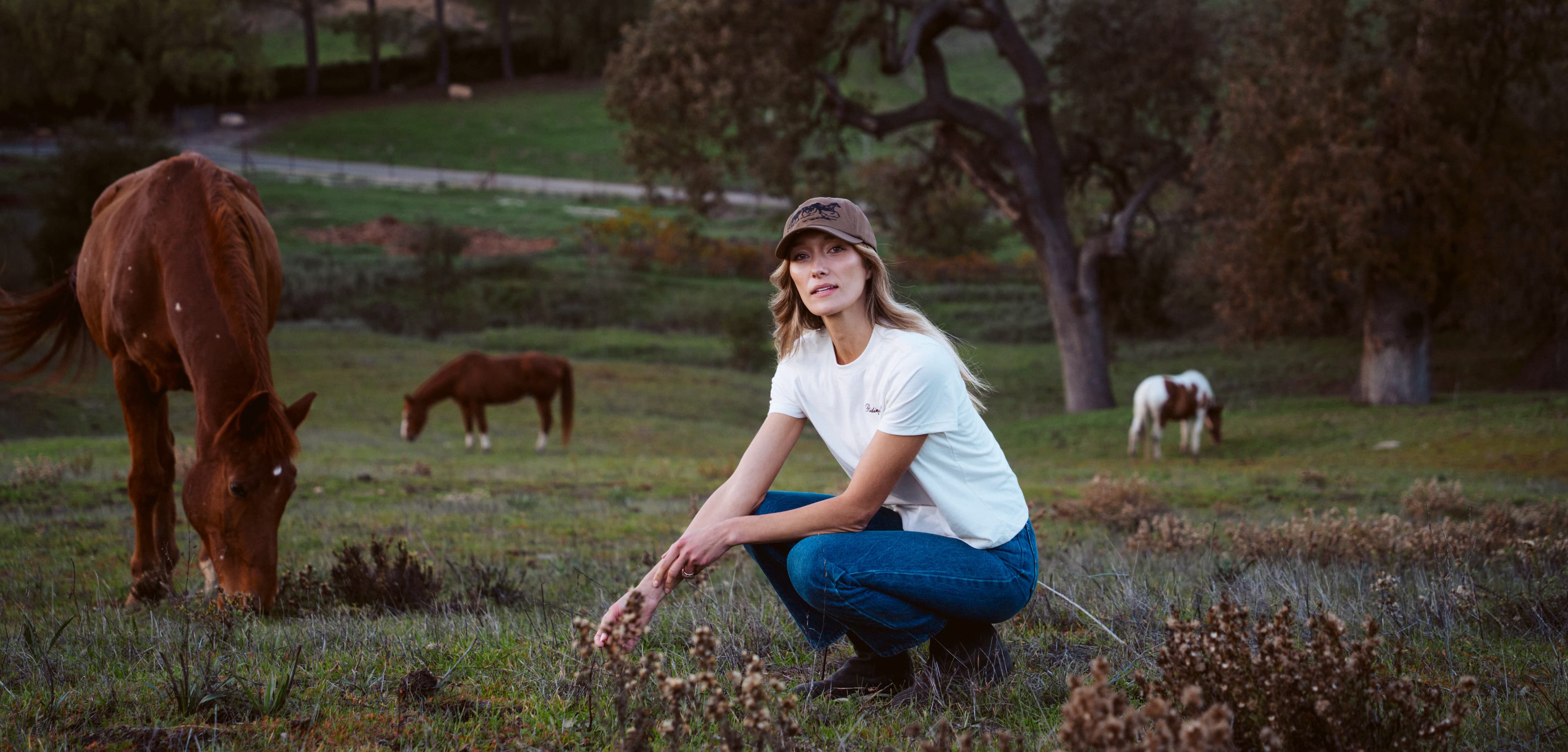 Shop Alisal Riding Club Collection