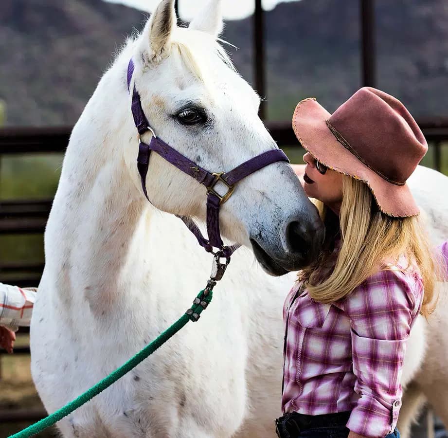 person face to face with horse