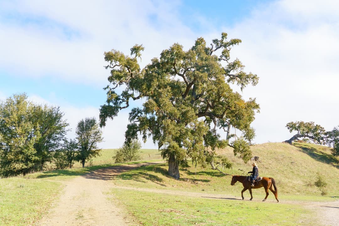 Private Rides Alisal Horseback Riding Solvang Activities