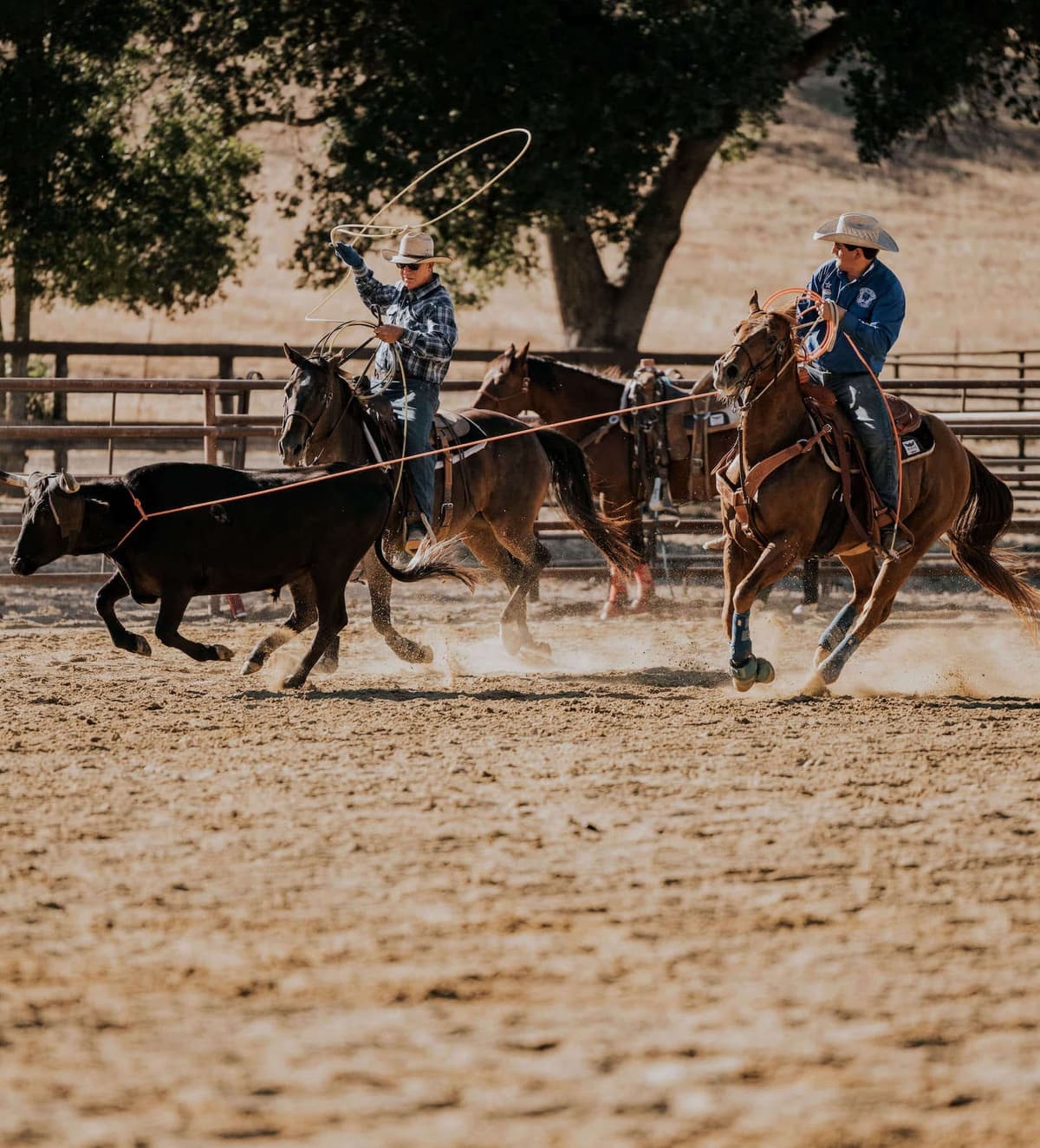 California's Luxury Dude Ranch | Alisal Ranch CA