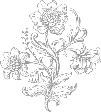 flower illustration
