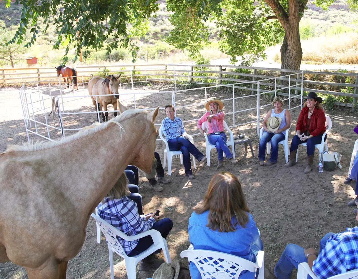 group of people sitting in a circle with a horse over looking