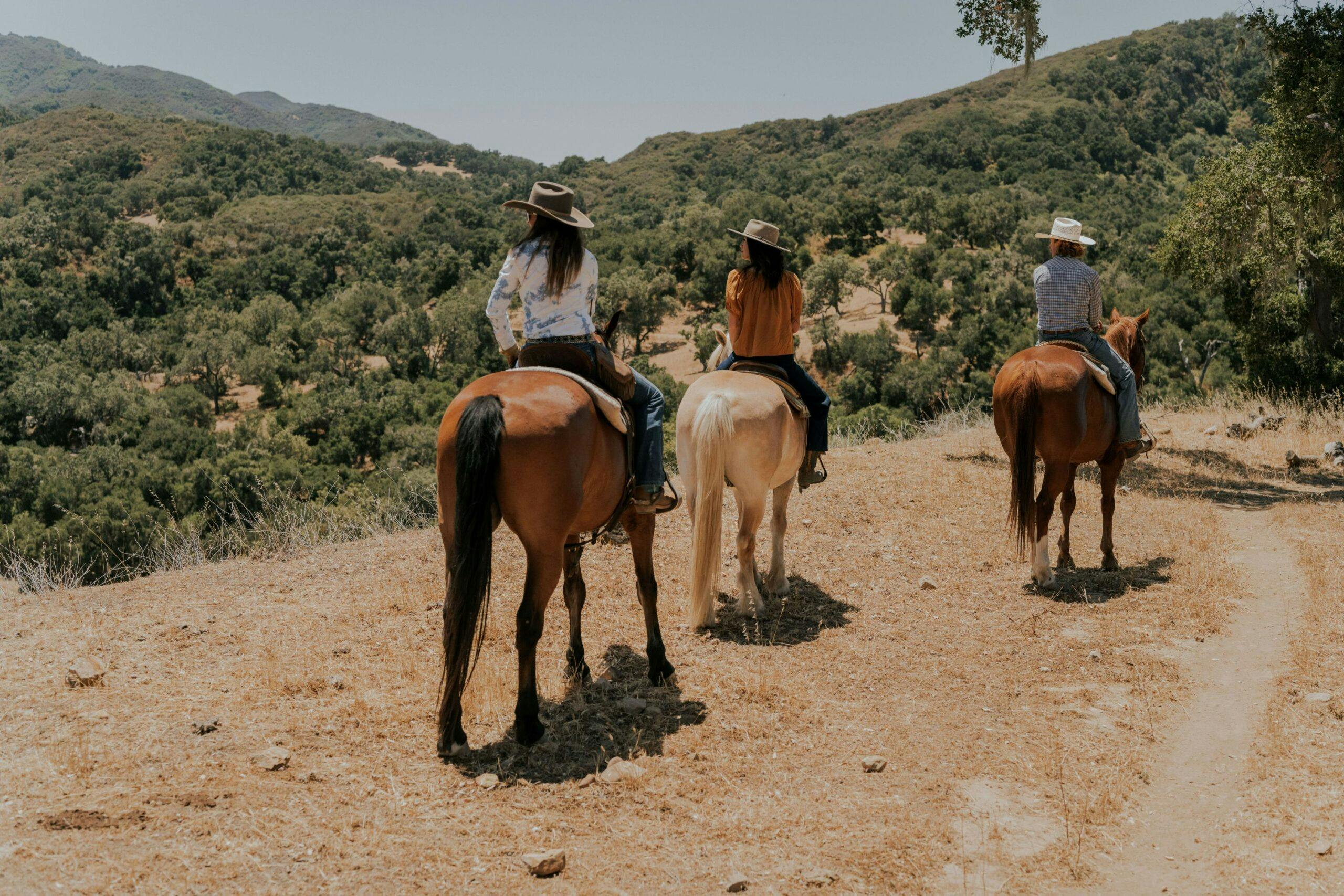 three people riding horses and looking at the view