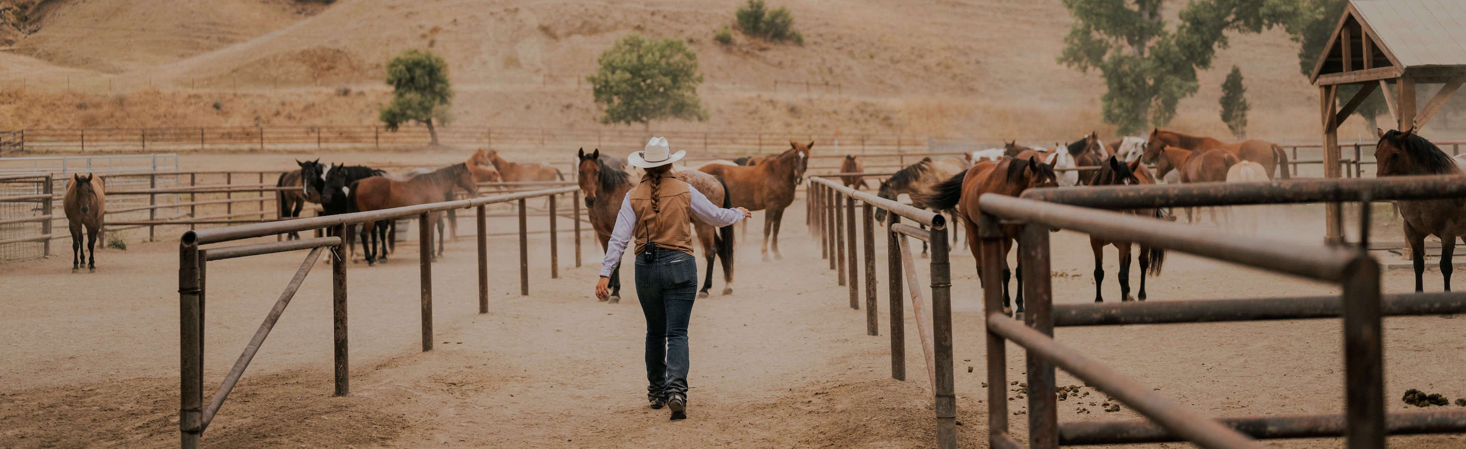 person walking towards the horse in the ranch
