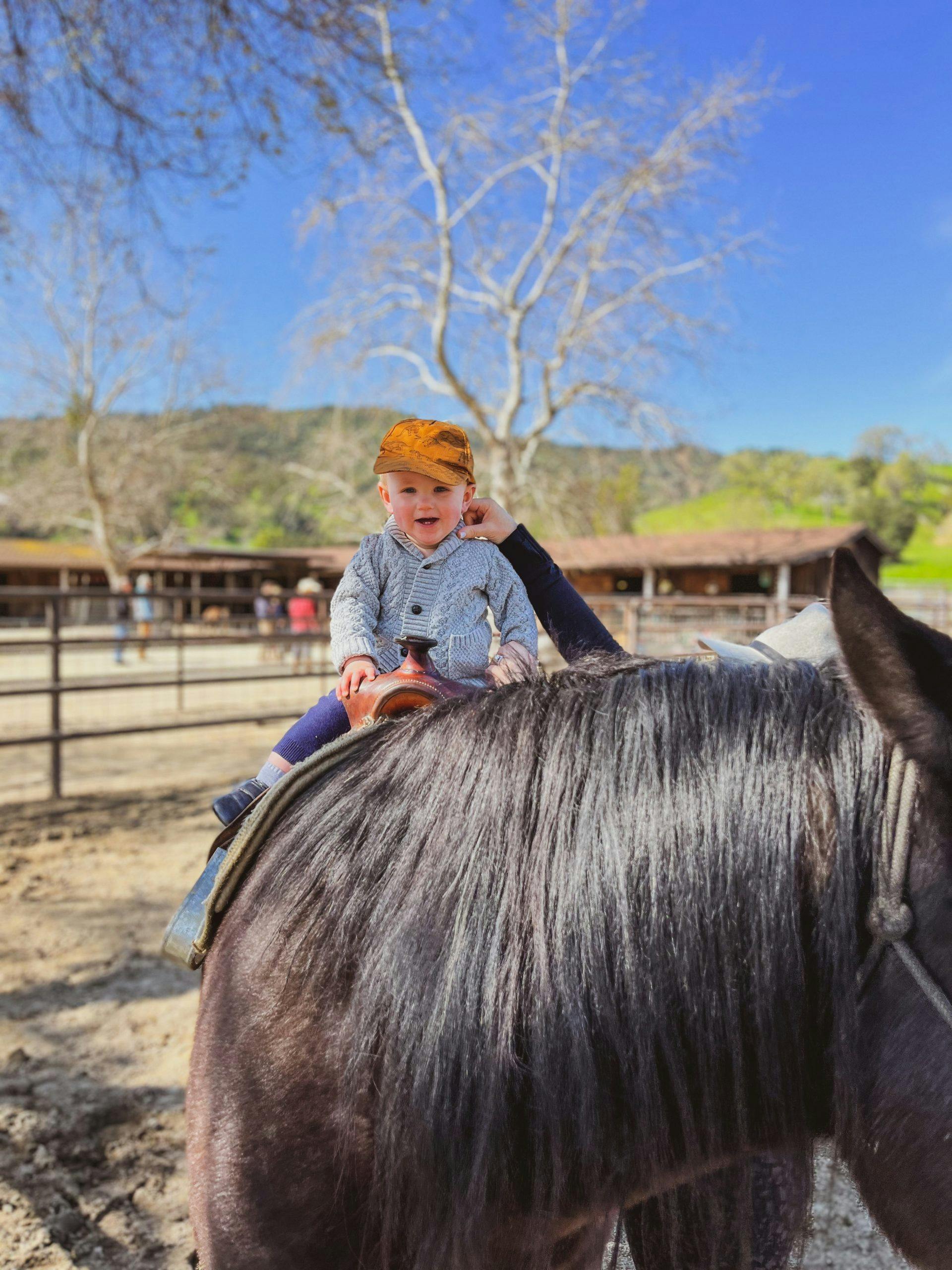 small child smiling sitting on a horse